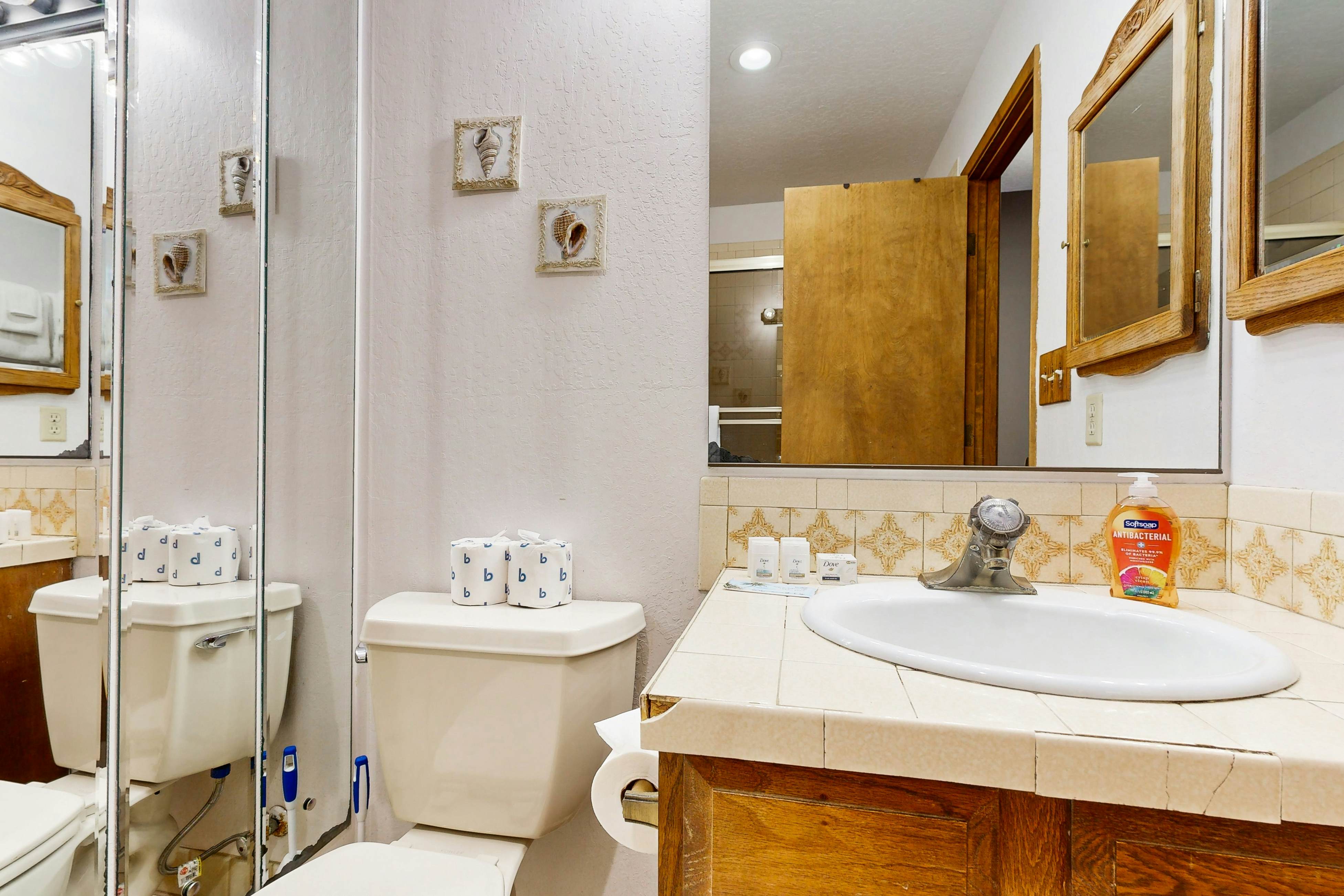 Scenes of Evergreens