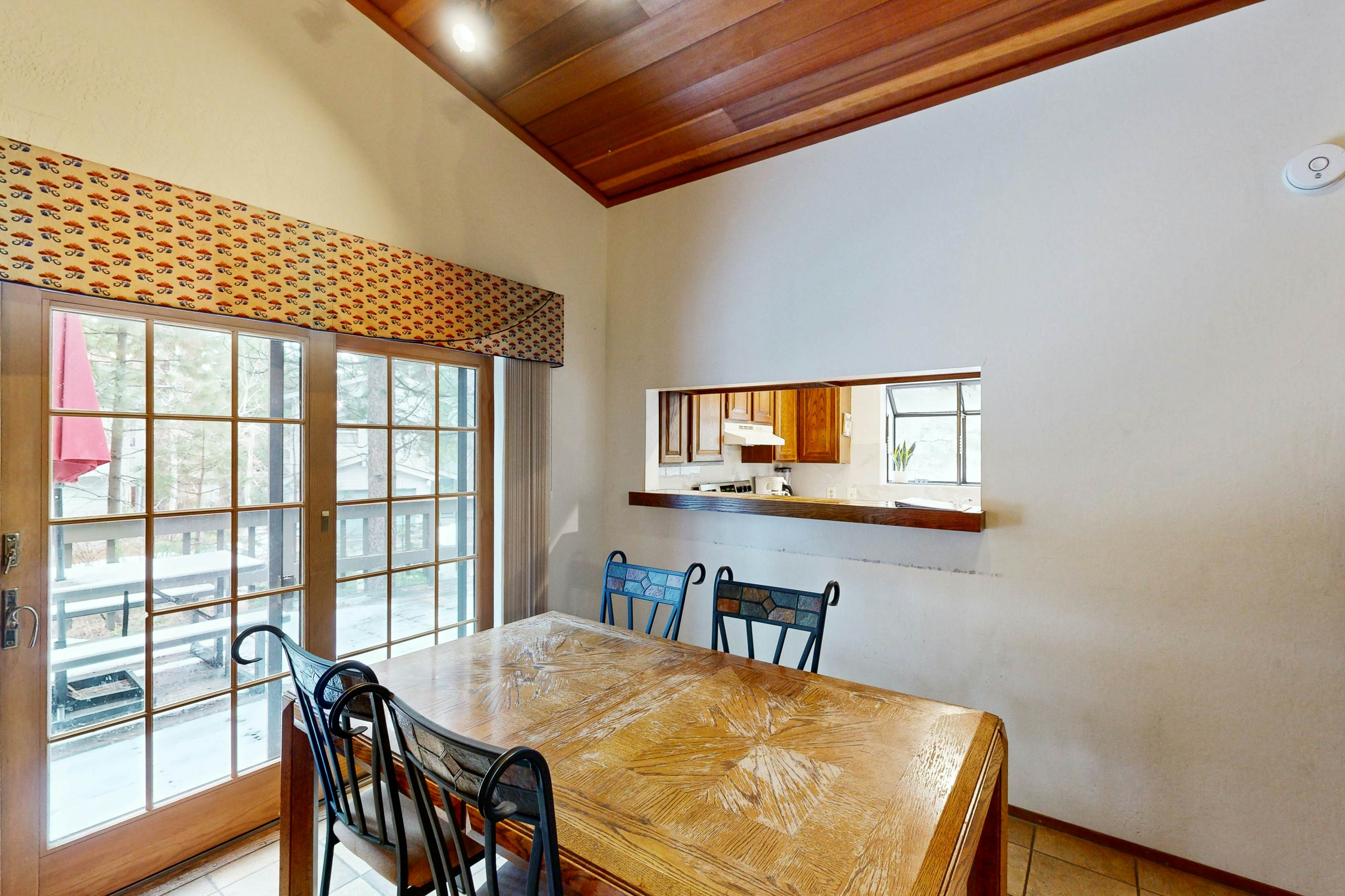 Scenes of Evergreens