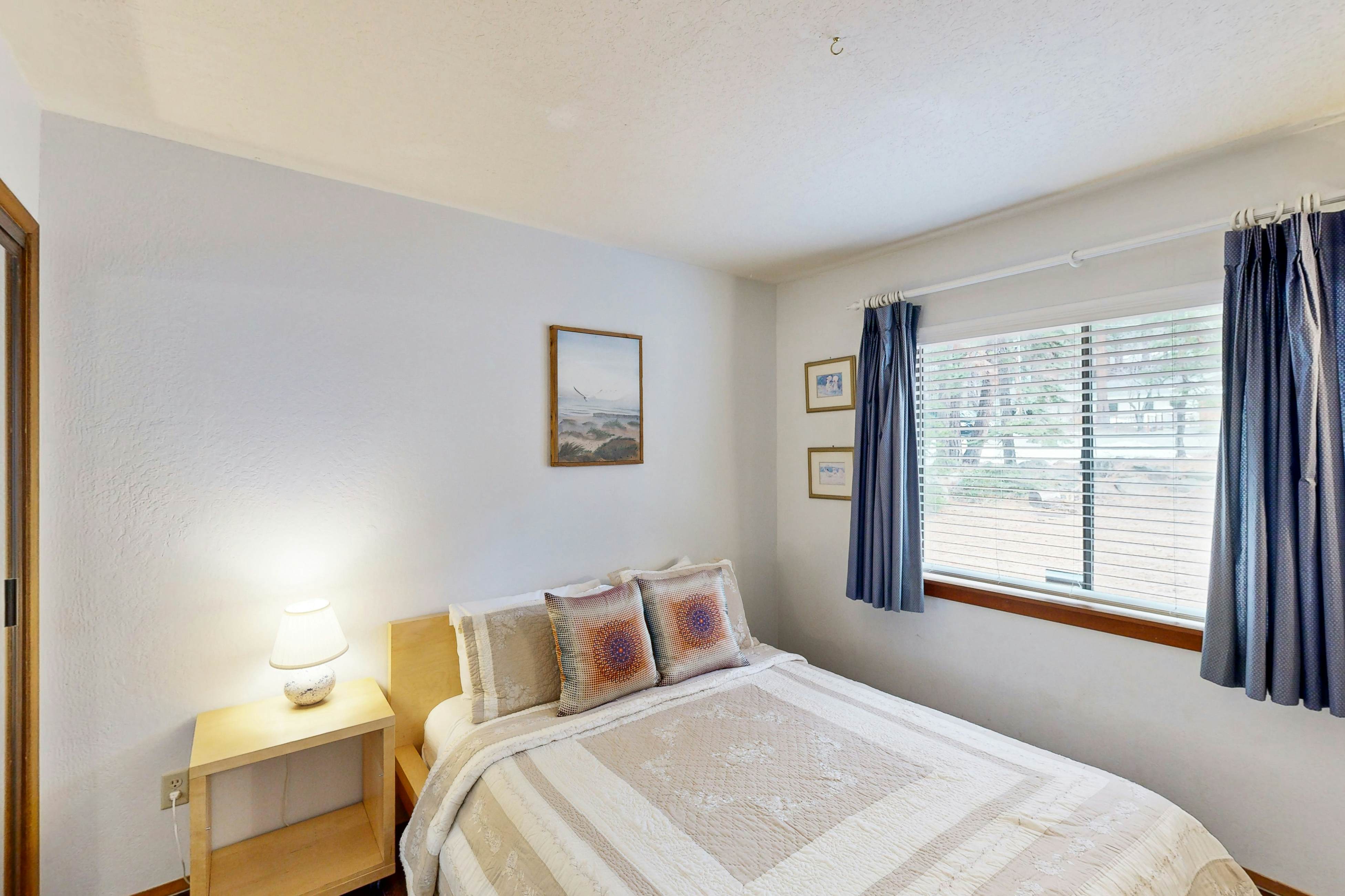 Scenes of Evergreens