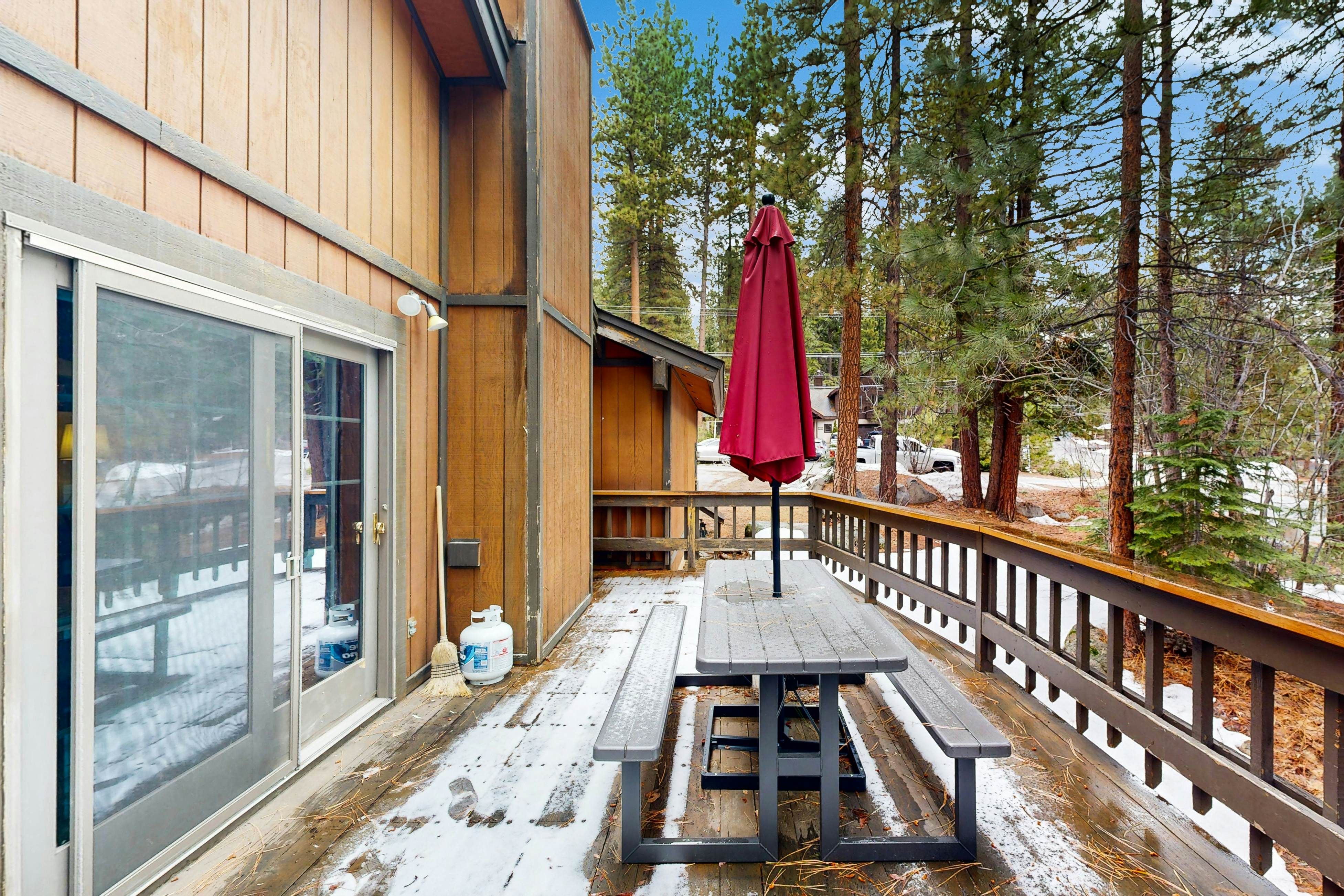 Scenes of Evergreens