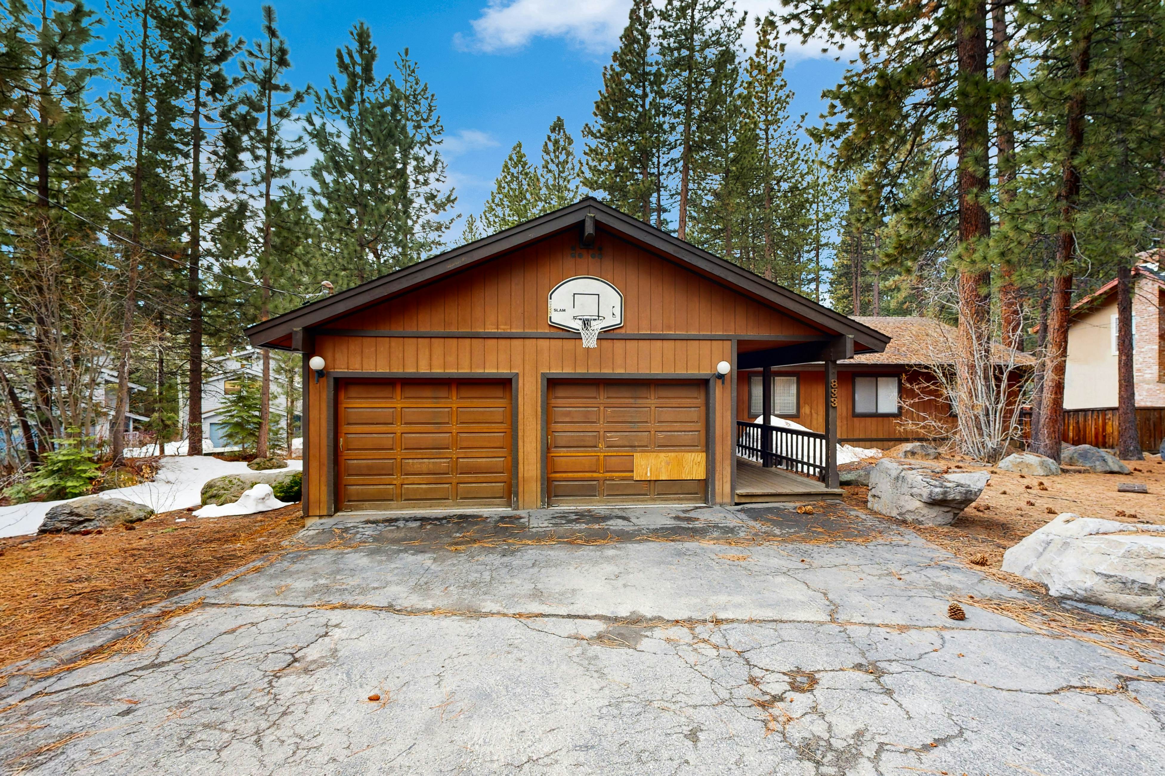 Scenes of Evergreens