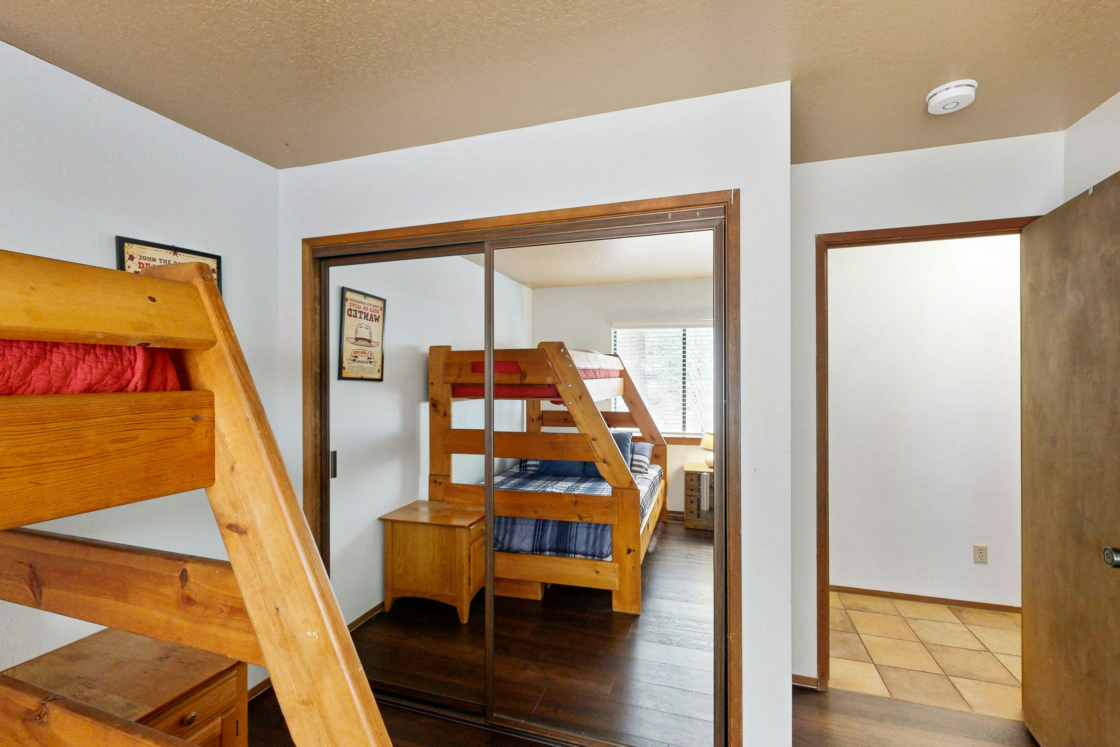 Scenes of Evergreens