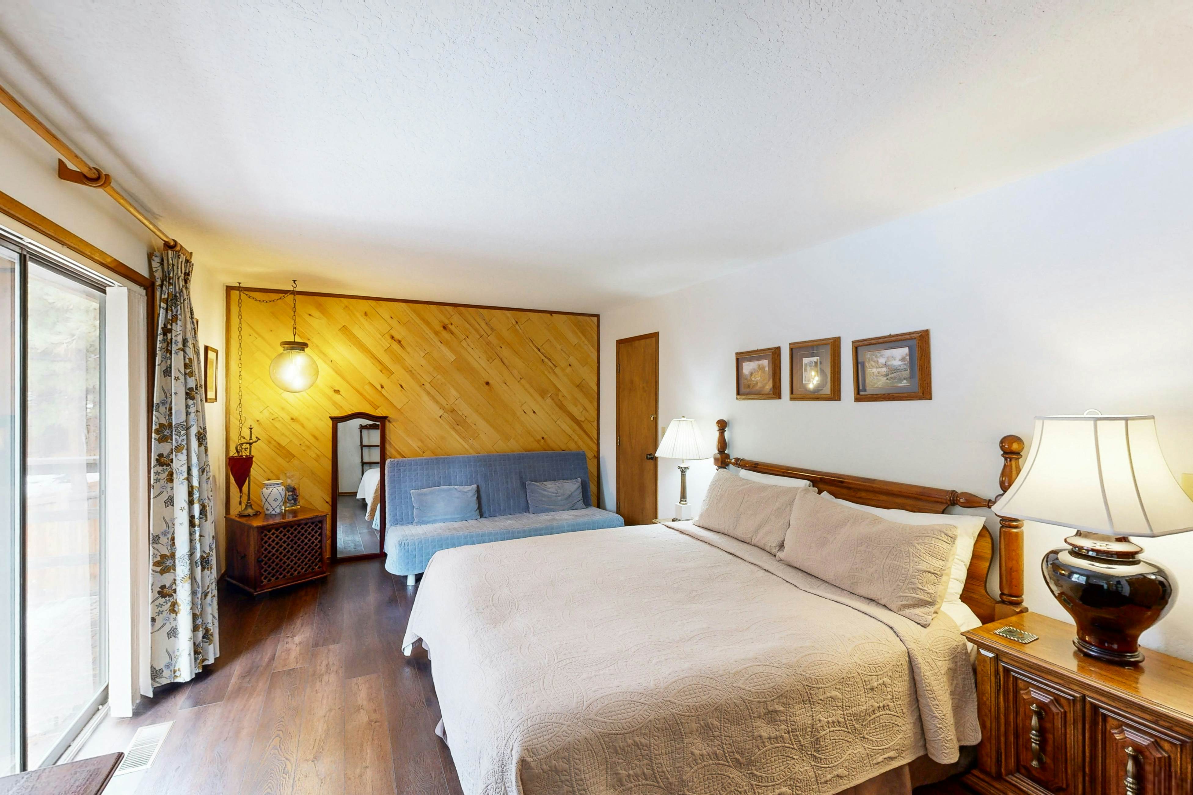 Scenes of Evergreens