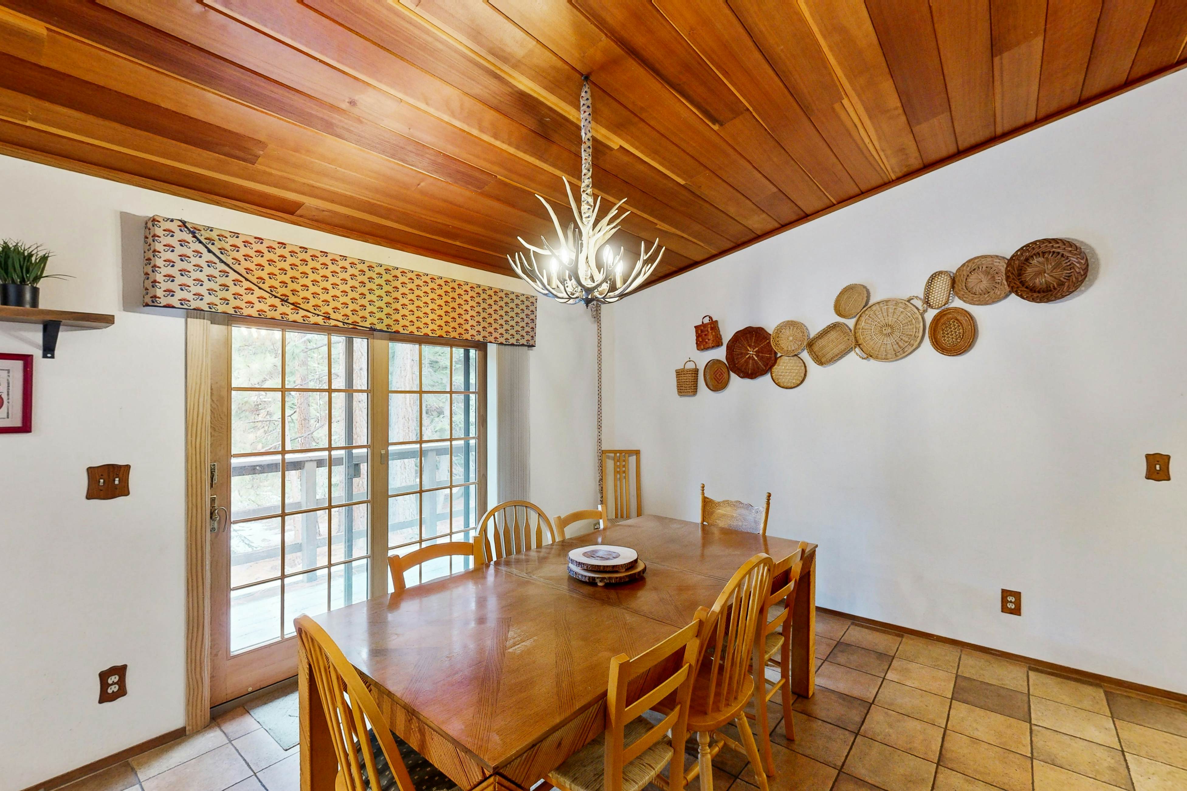 Scenes of Evergreens