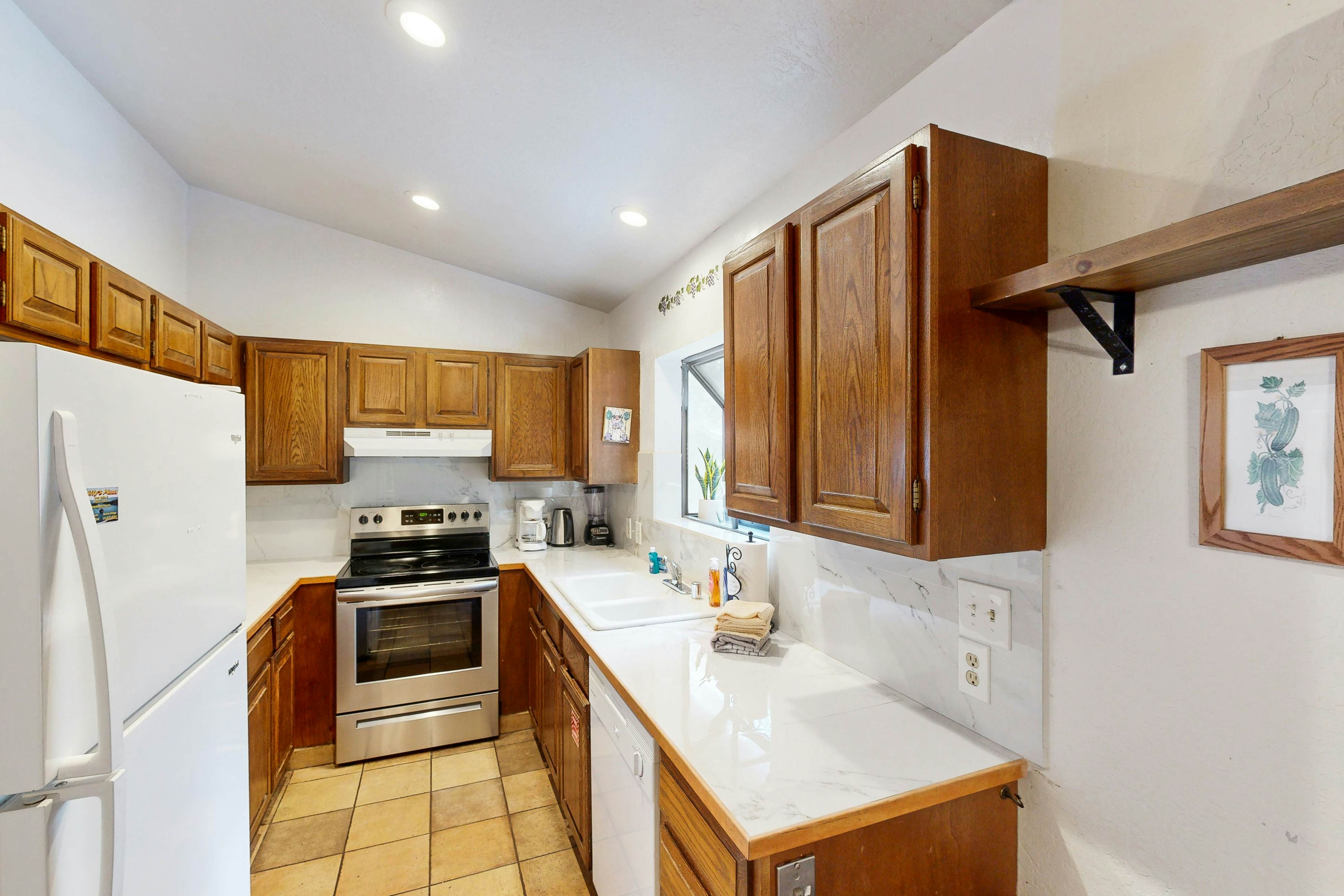 Scenes of Evergreens