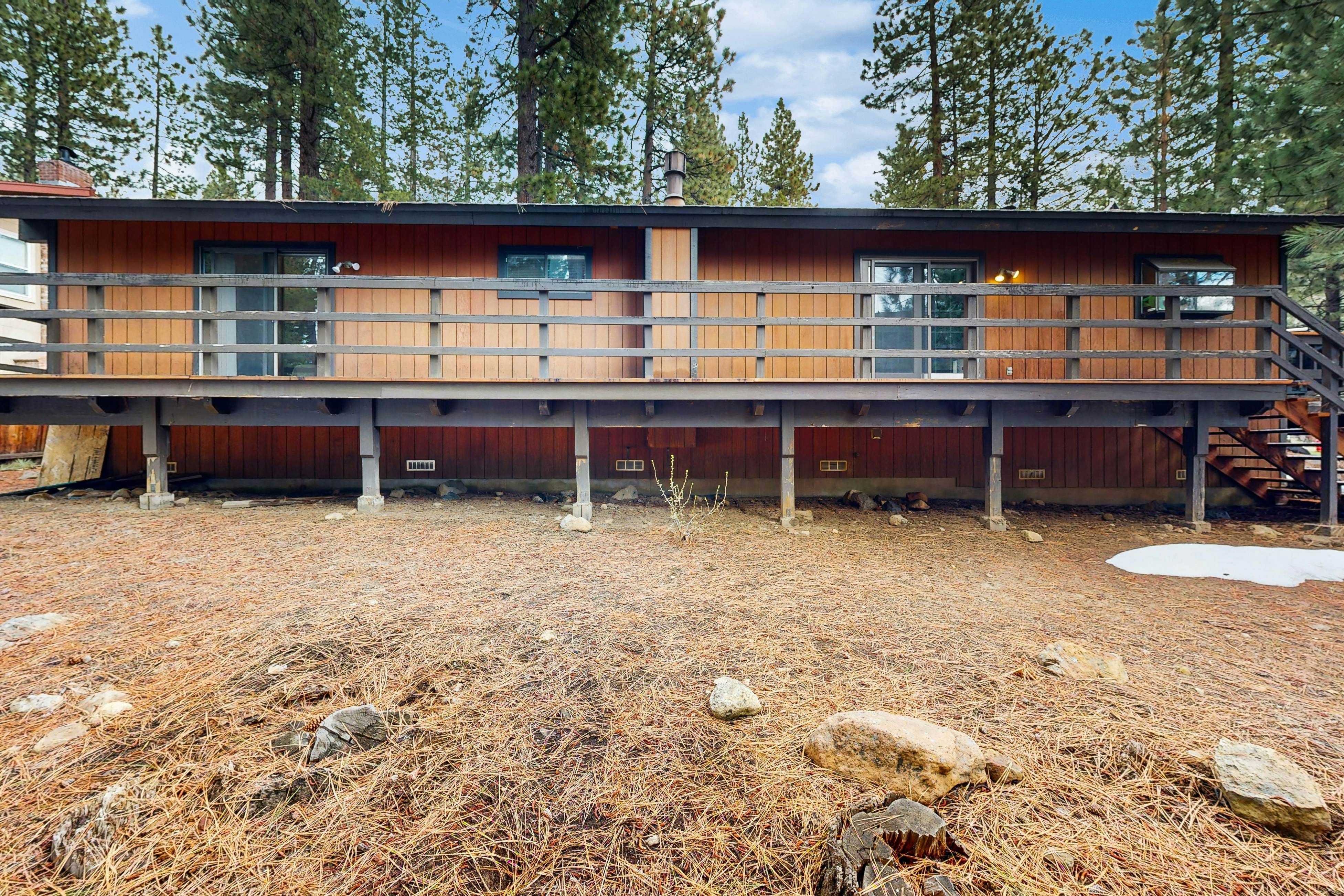 Scenes of Evergreens