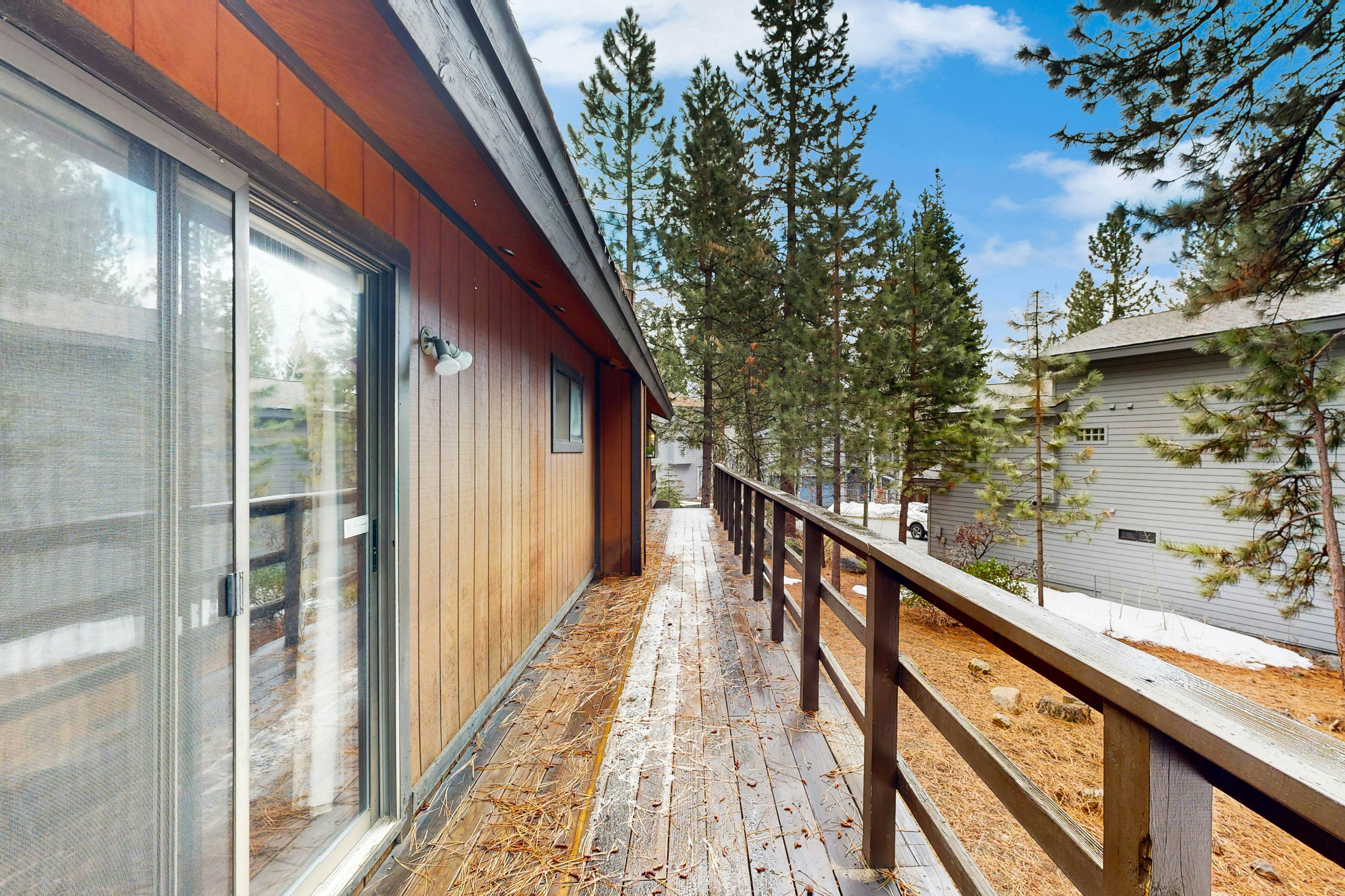 Scenes of Evergreens