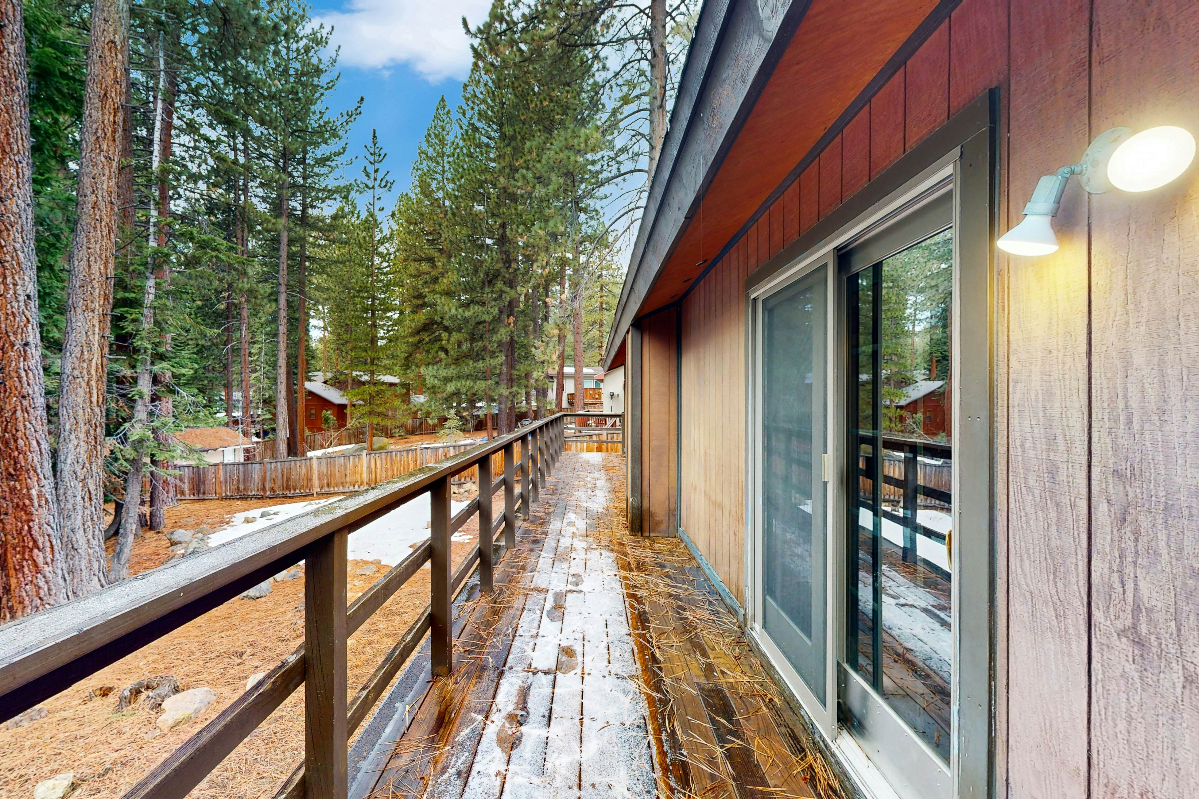 Scenes of Evergreens