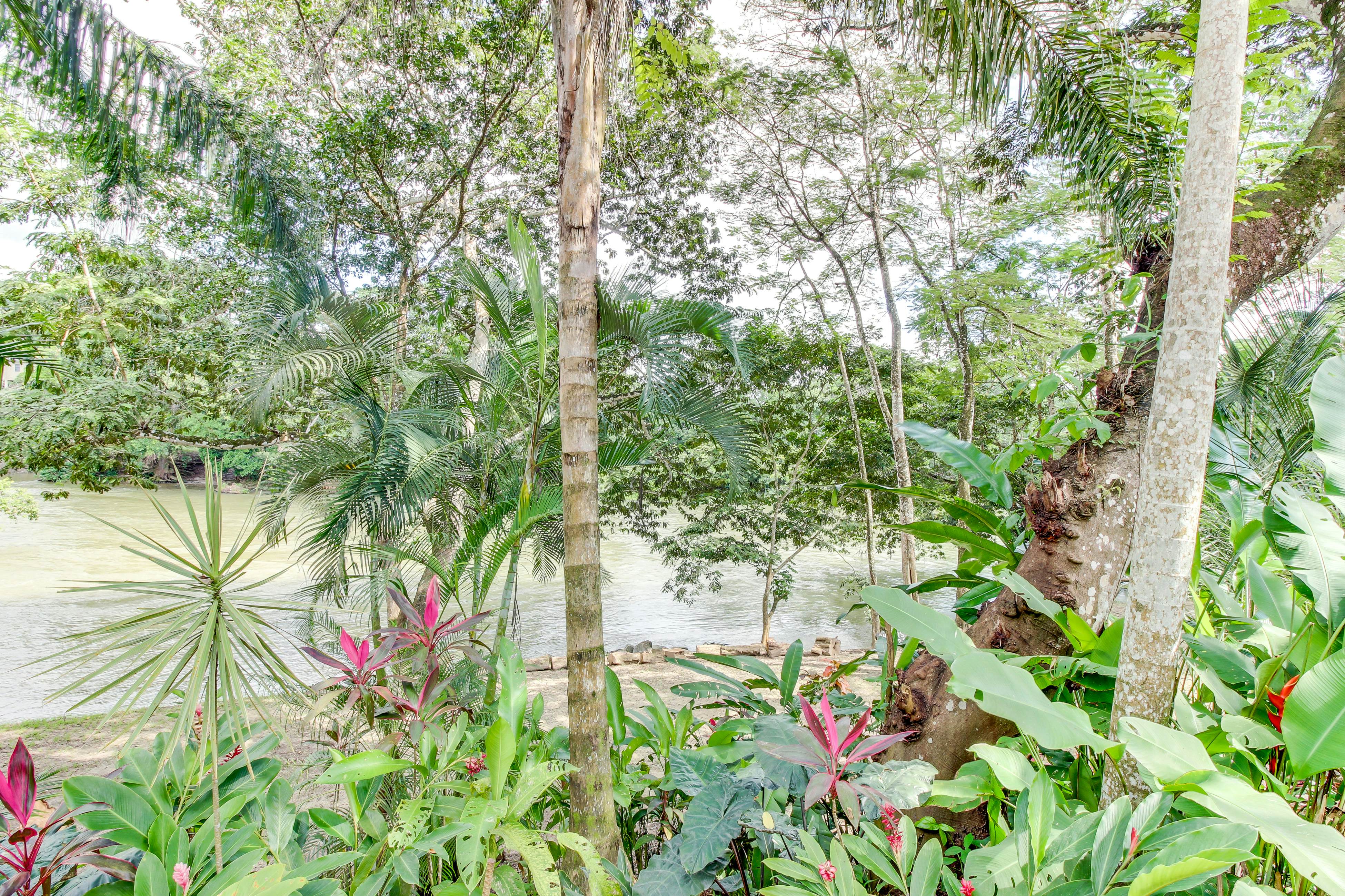 Jaguar Room at Mahogany Hall -Gold Standard Certified