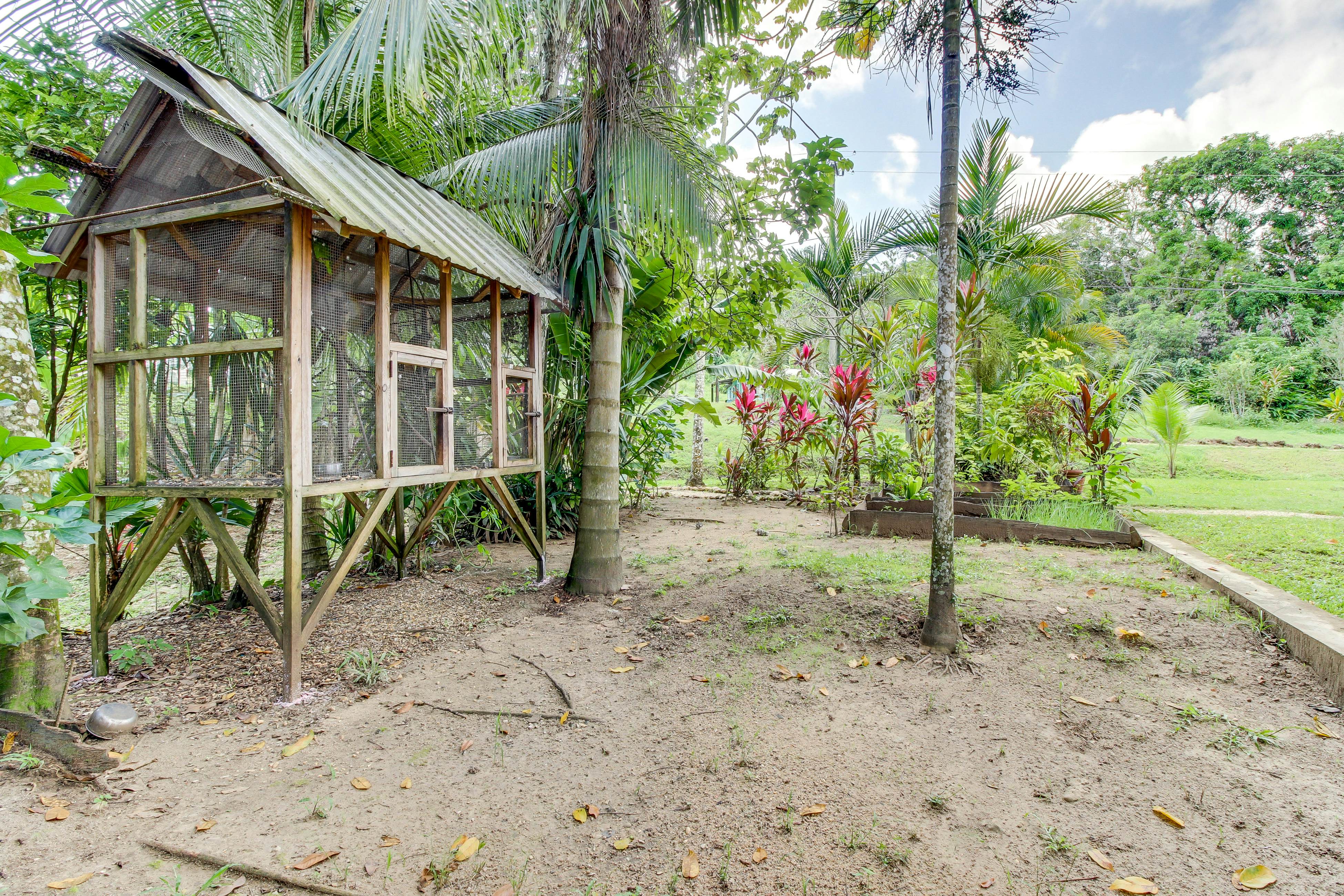 Monkey Room at Mahogany Hall -Gold Standard Certified