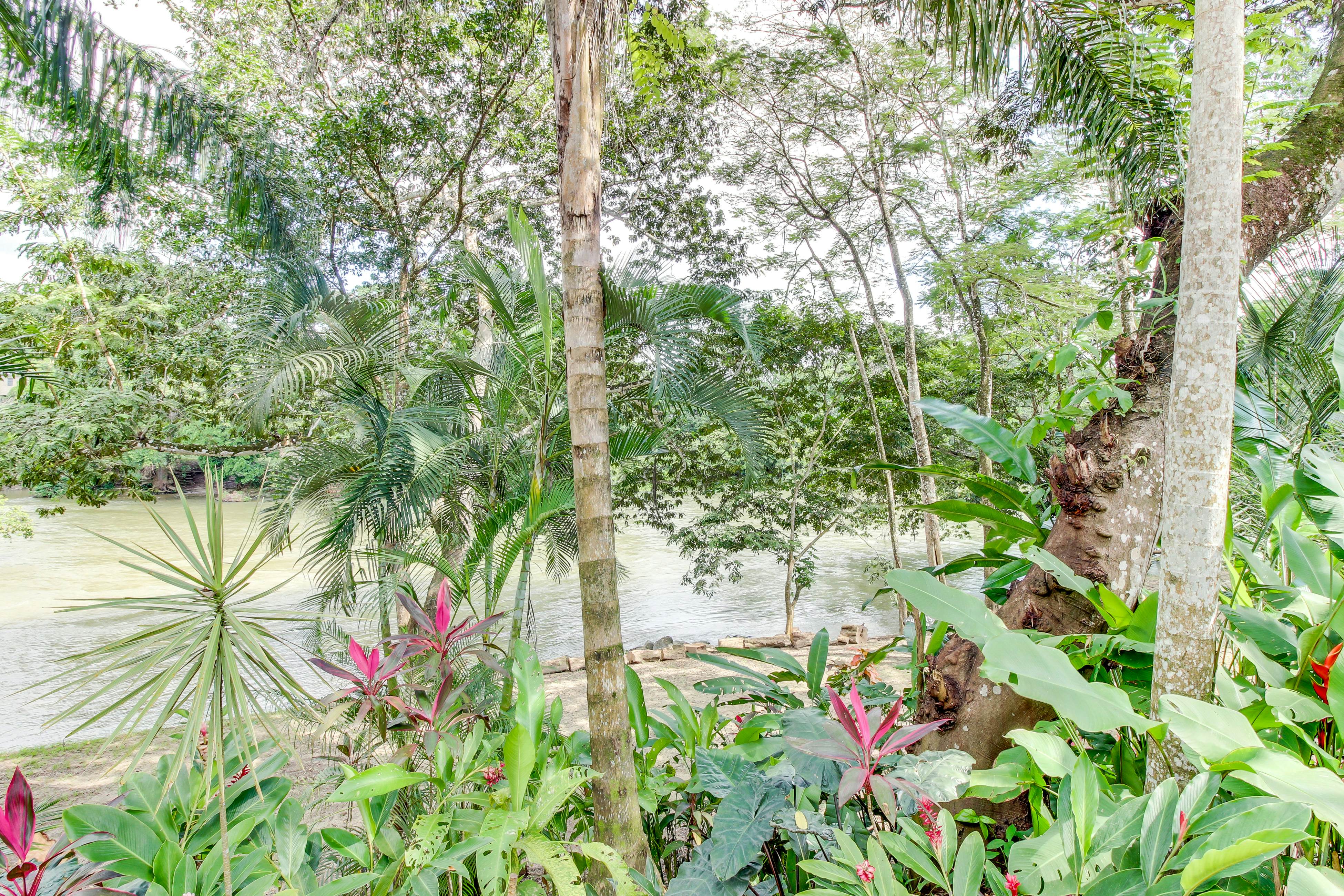 Monkey Room at Mahogany Hall -Gold Standard Certified