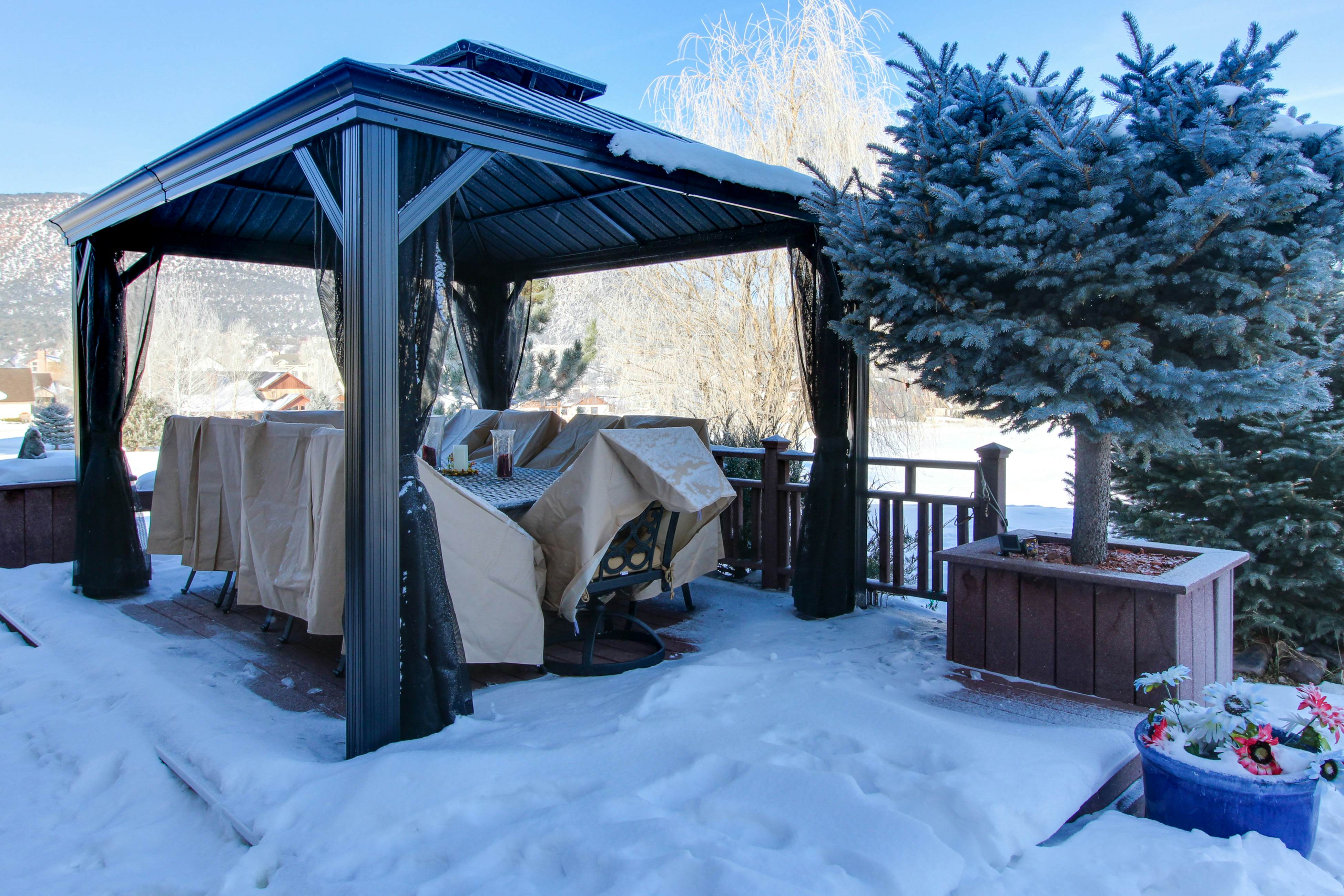 Timberwolf on Cotton Ranch