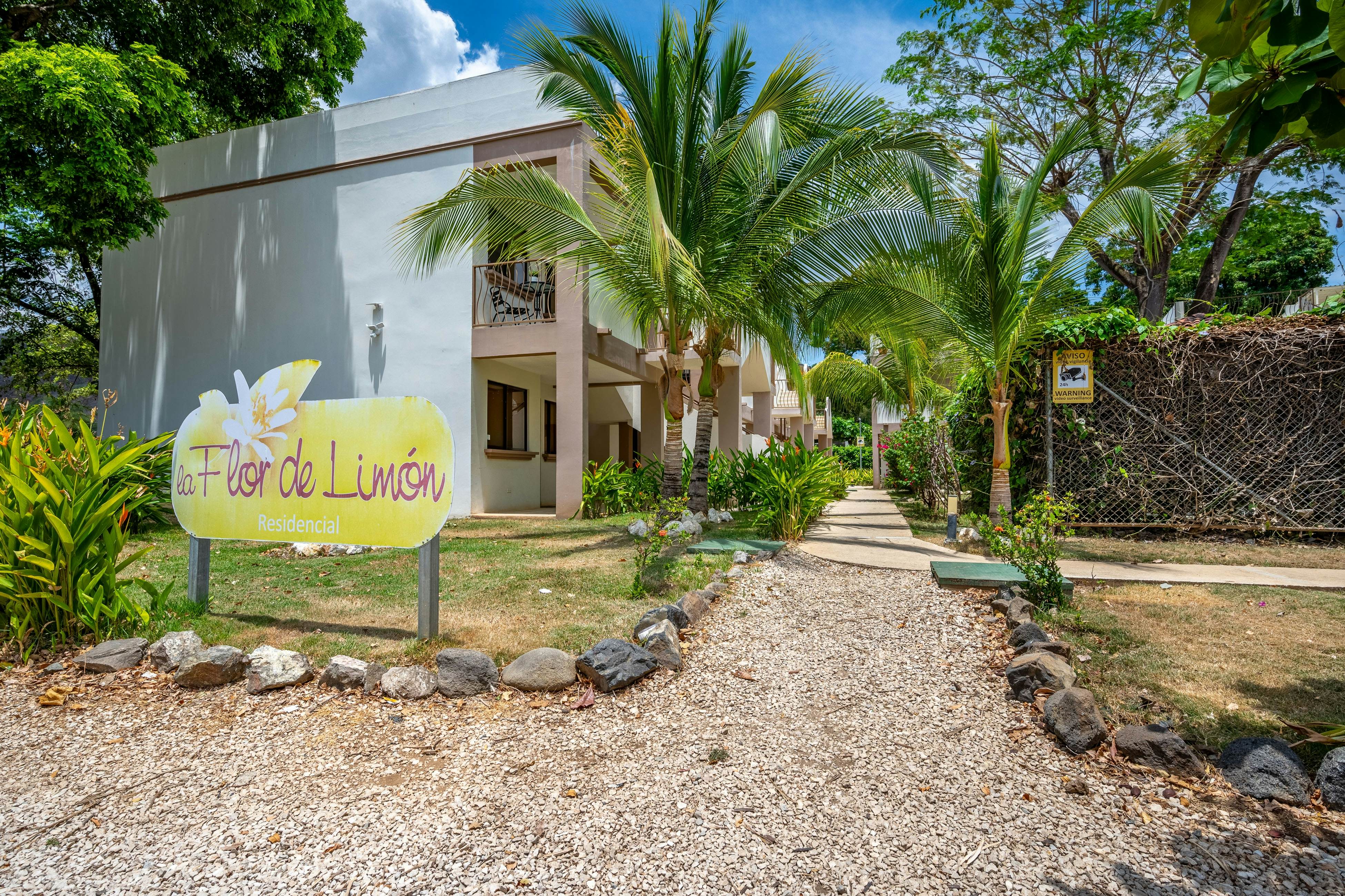 Coco Bliss at Flor de Limón 