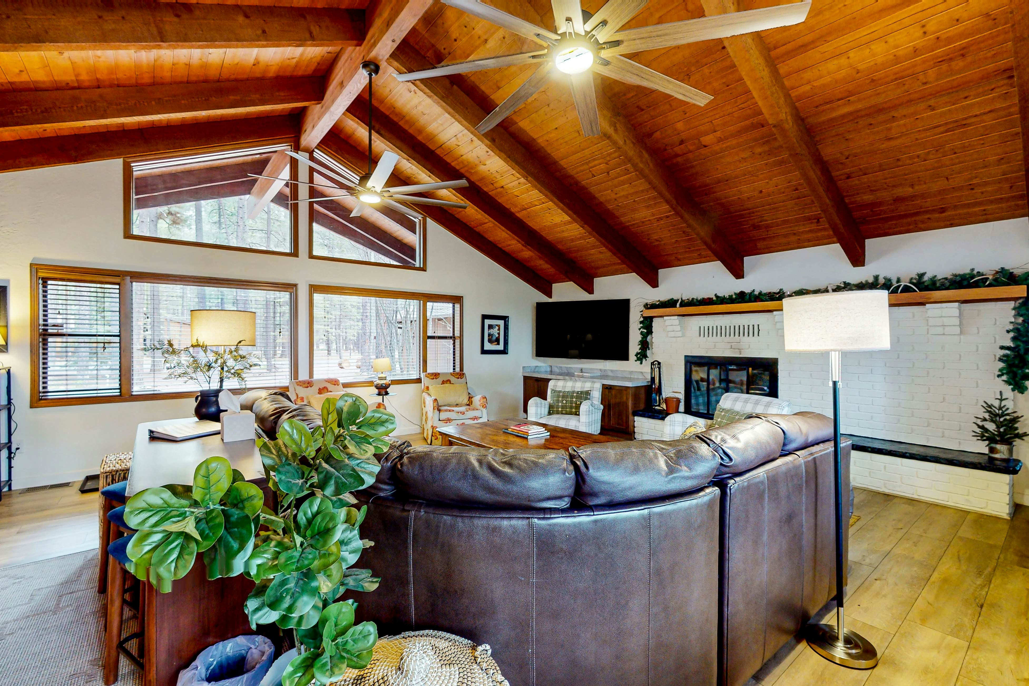 The Whispering Woods