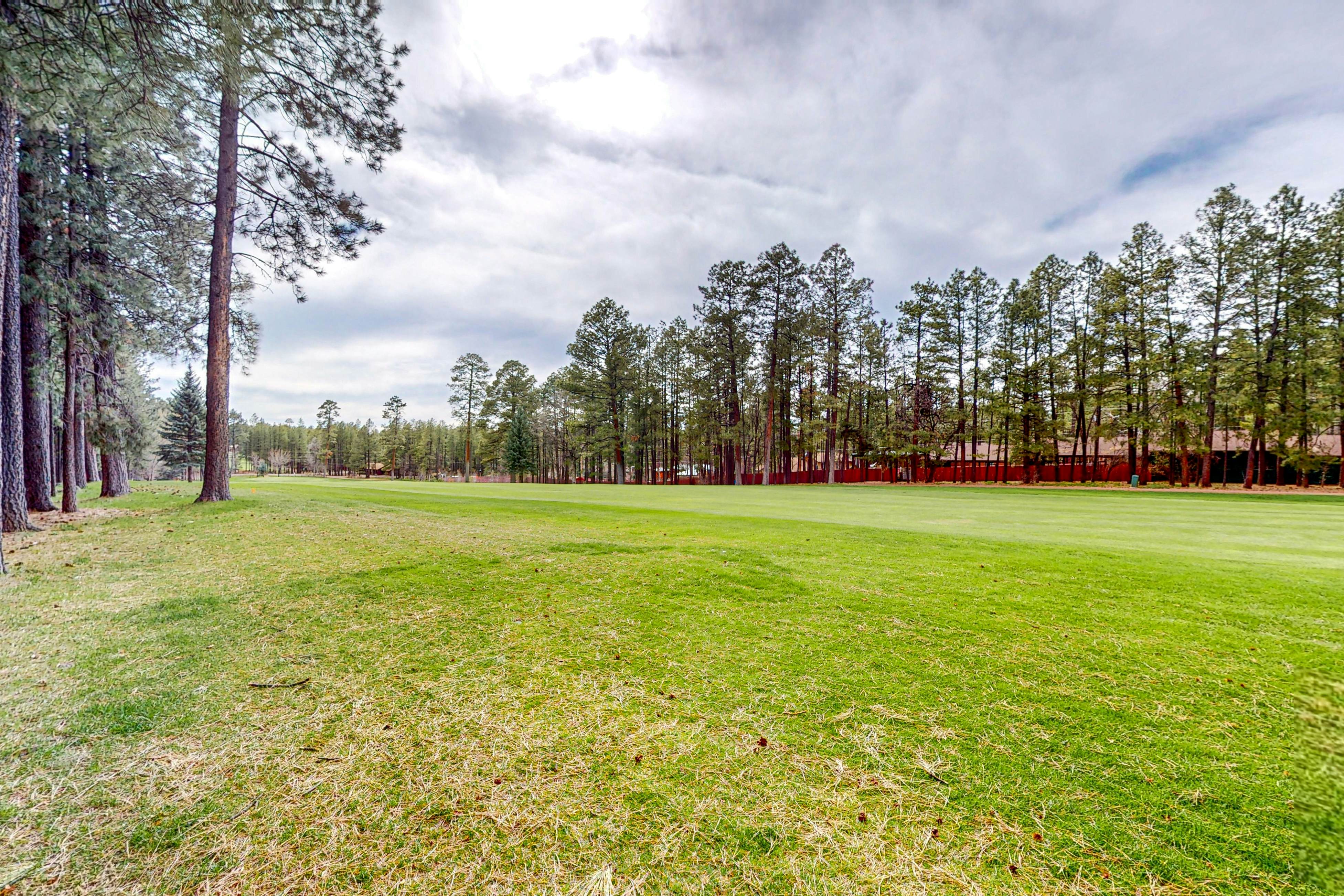 The Whispering Woods