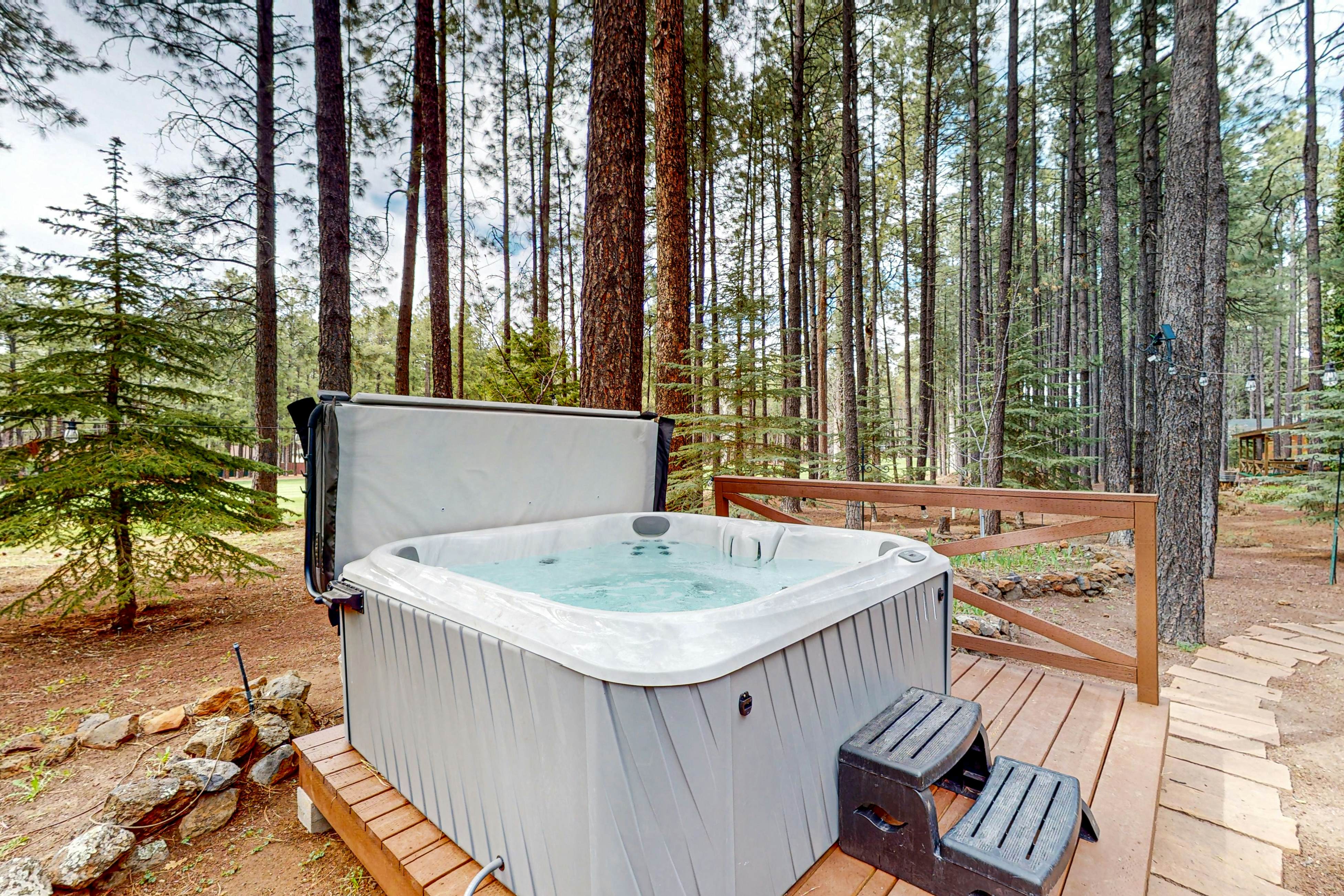 The Whispering Woods