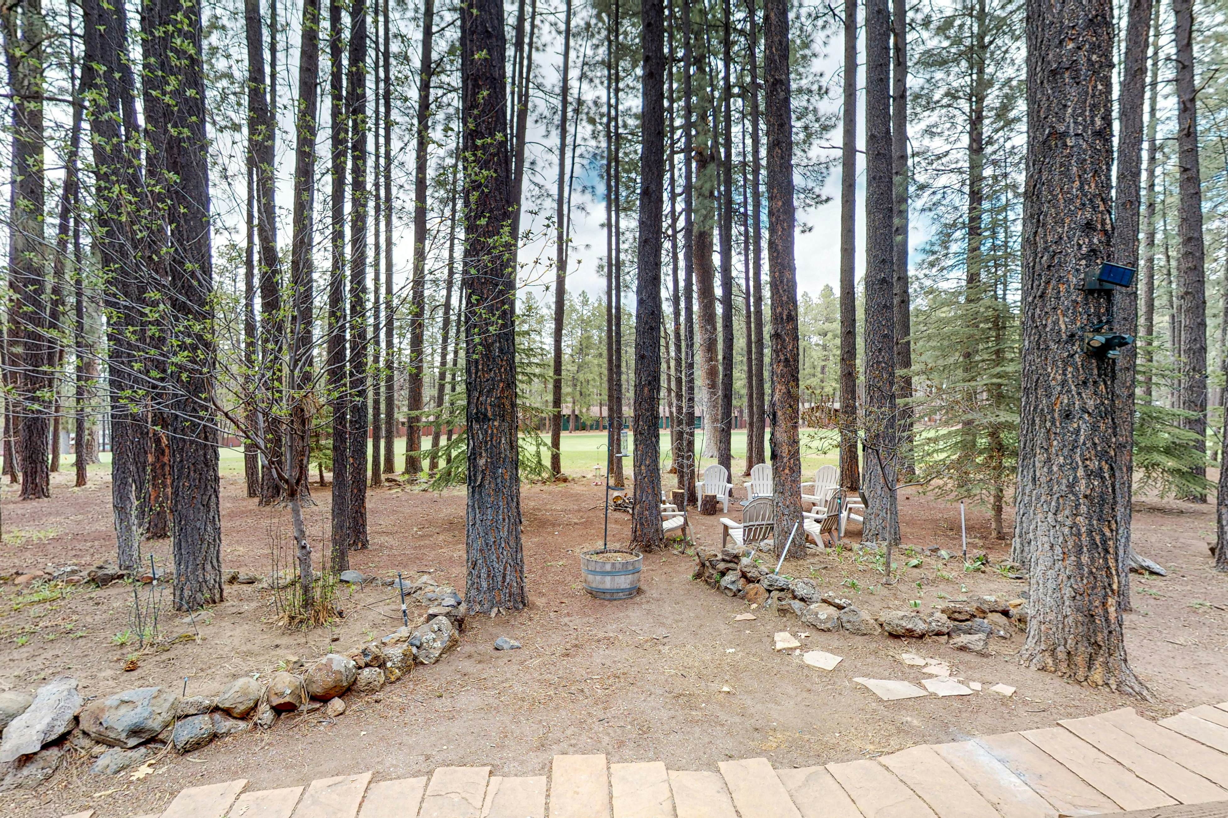 The Whispering Woods