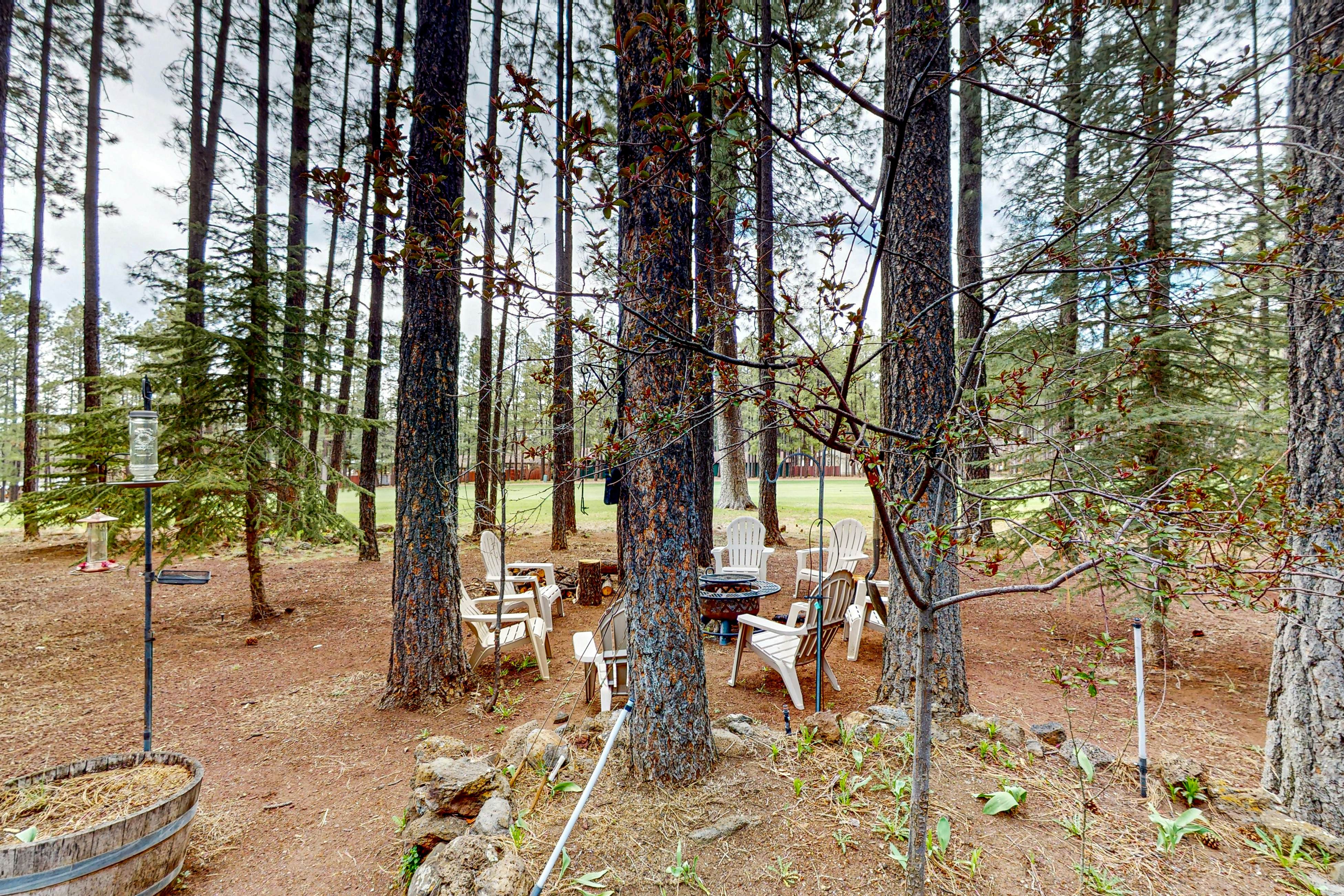 The Whispering Woods