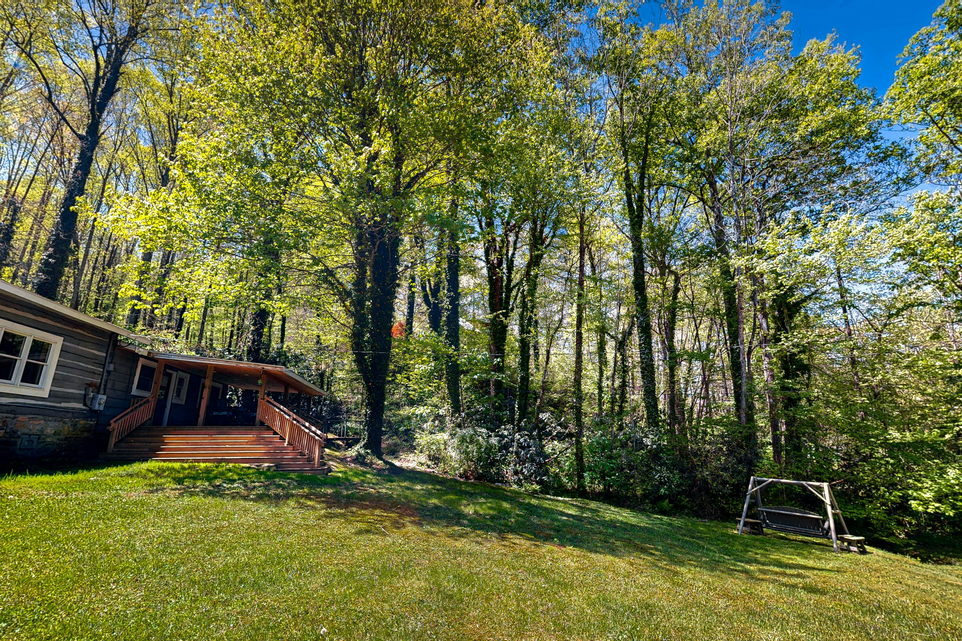 Bradley Bear Hideaway