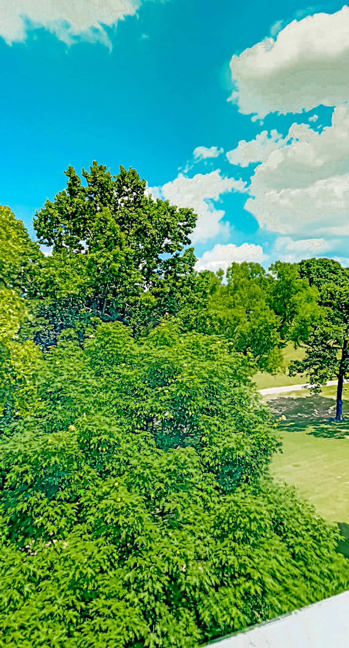 Gateway to the Ozarks