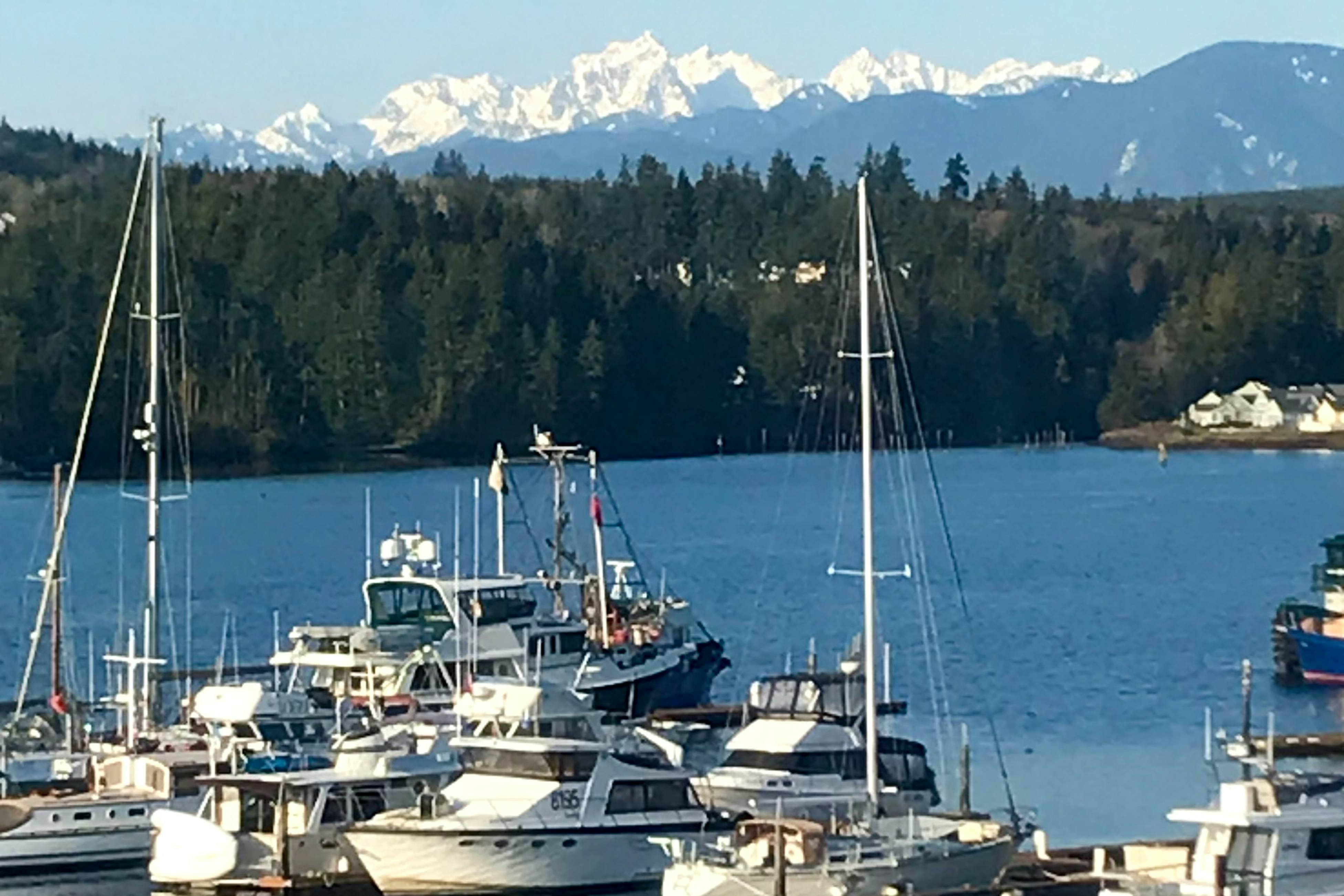 Ludlow Seaside Hale'