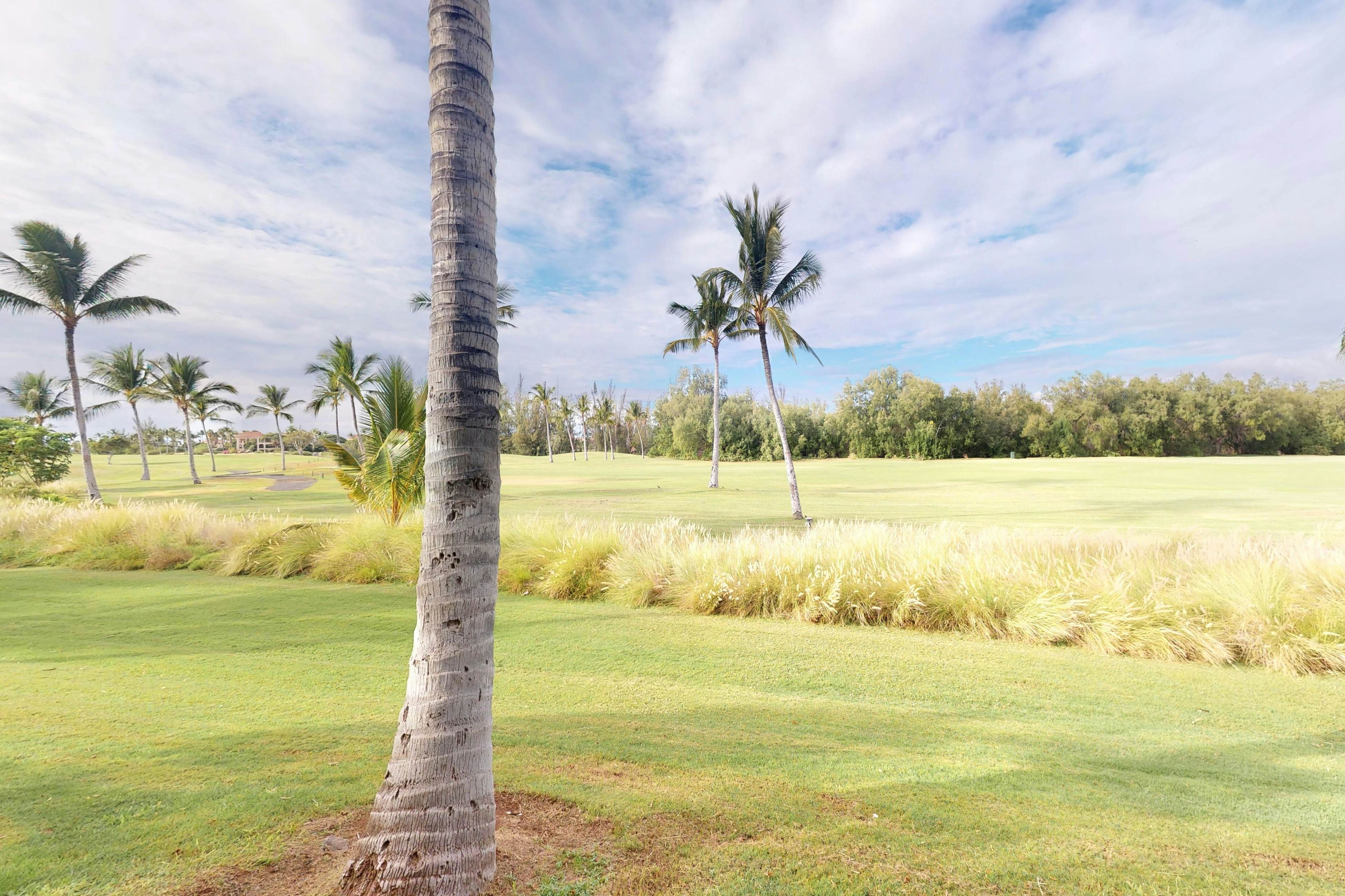 Waikoloa Fairway Villas N-5