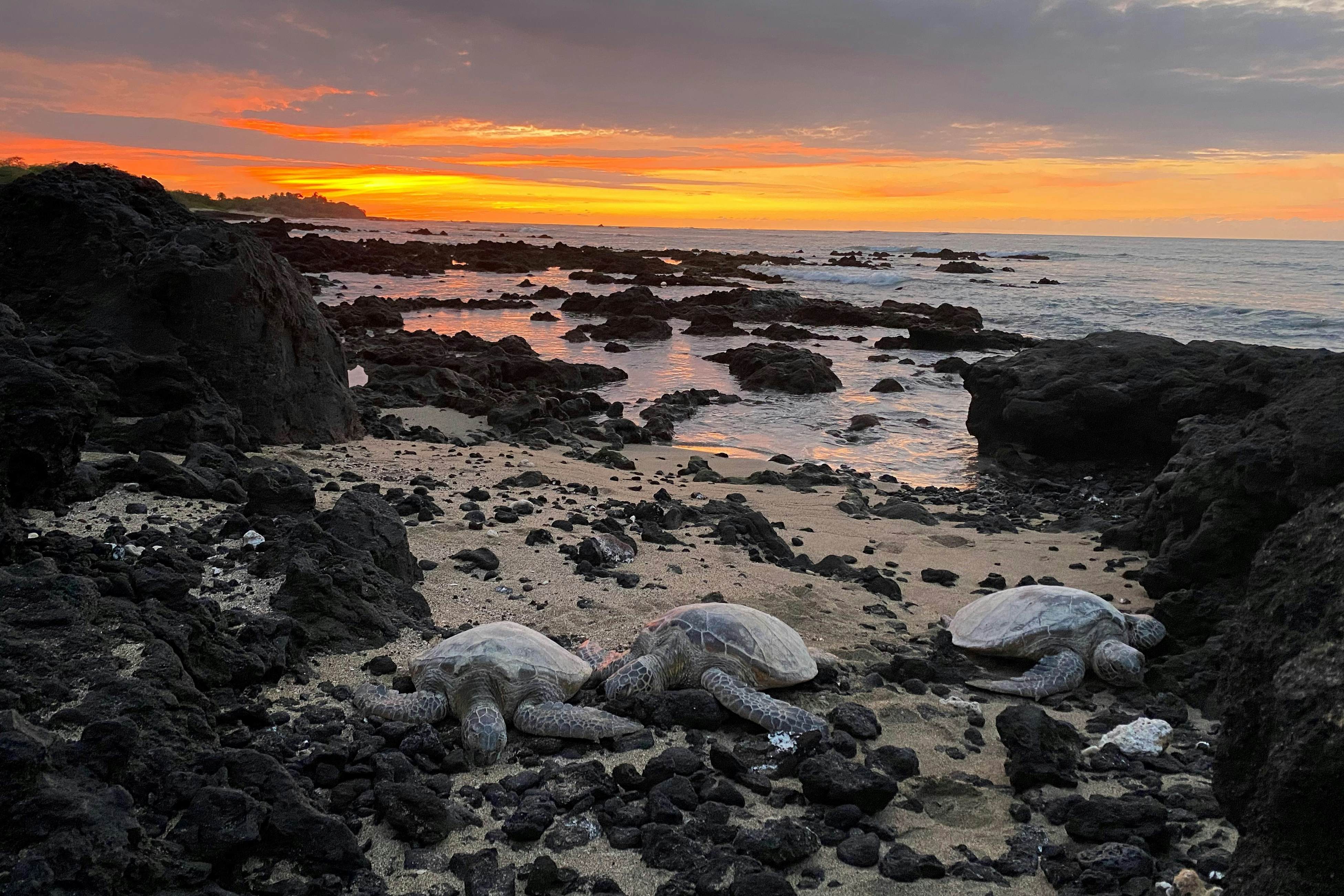Waikoloa Fairway Villas N-5