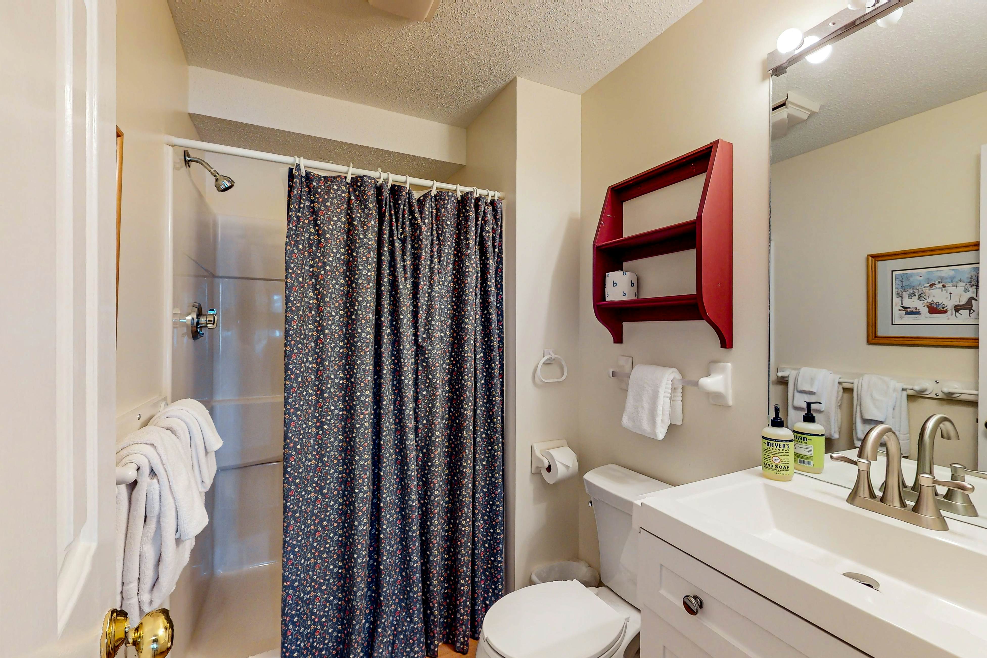 Lake View by the Mountain