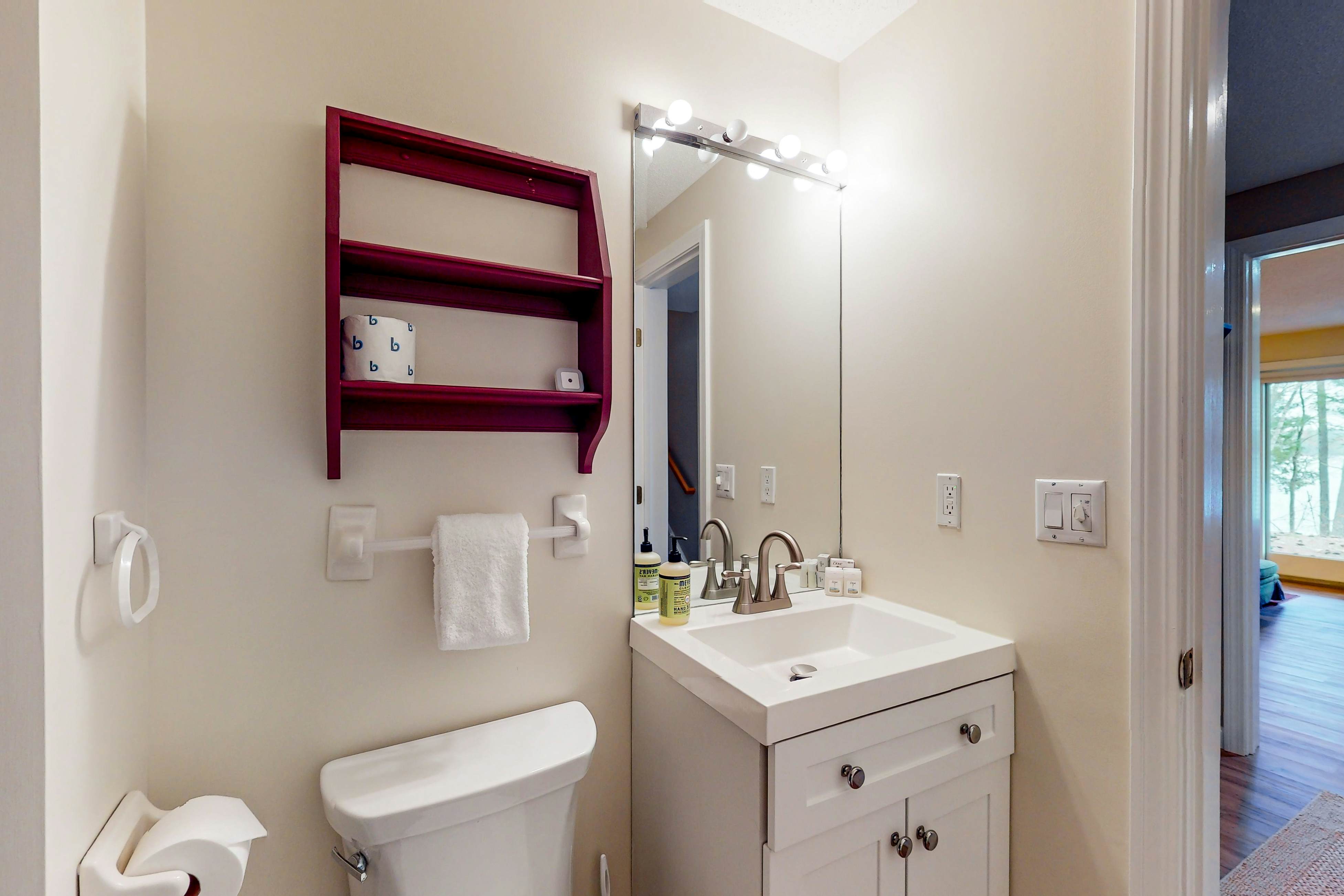 Lake View by the Mountain