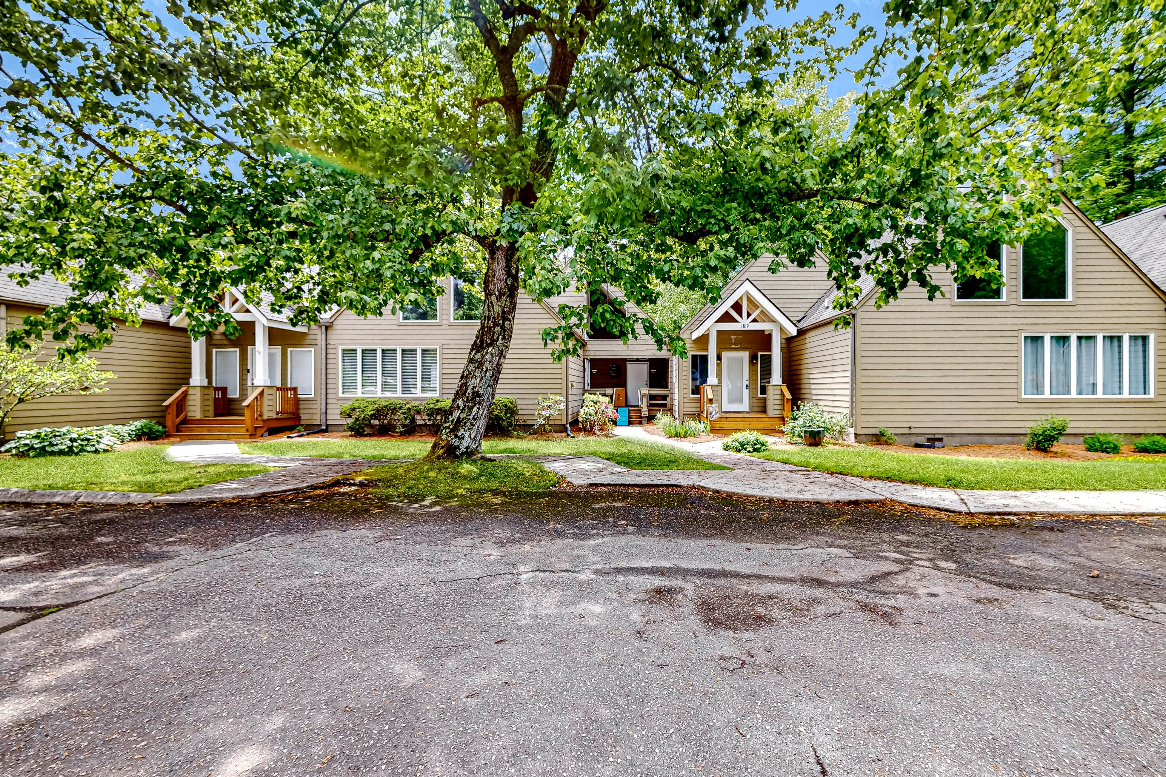 Sapphire Serenity - Studio