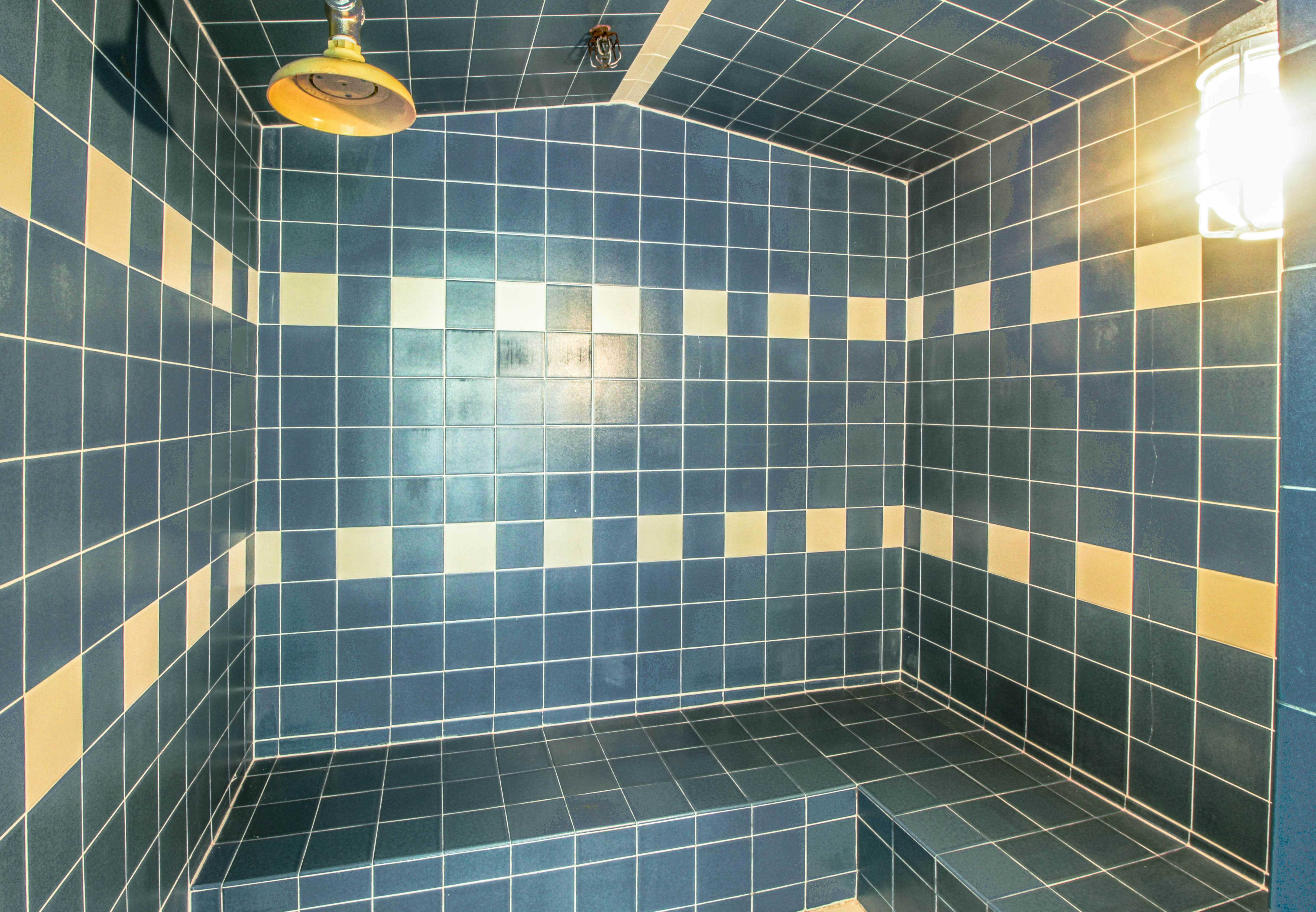 Sunrise - Timberline-L5