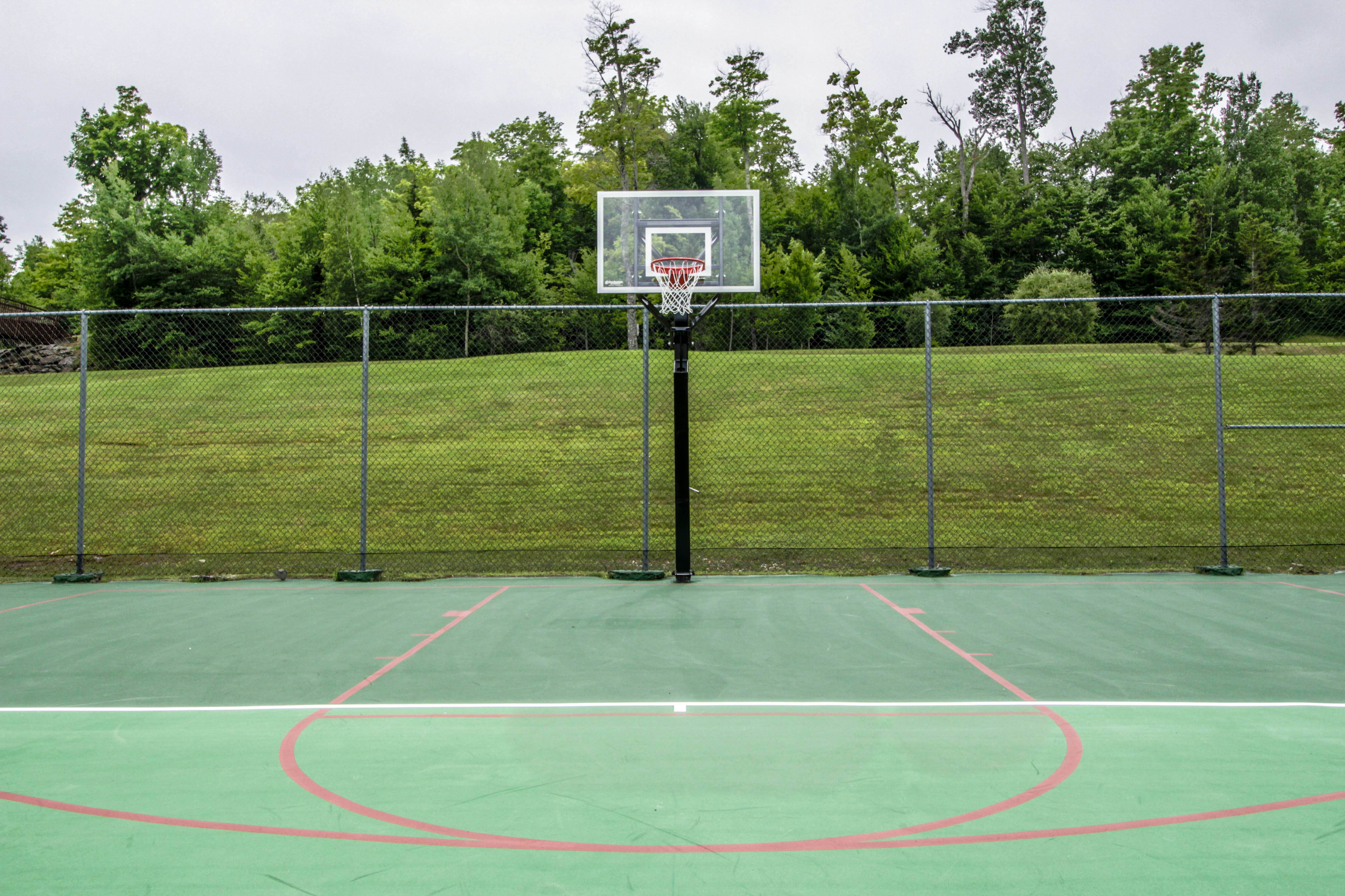 Sunrise - Timberline-L5