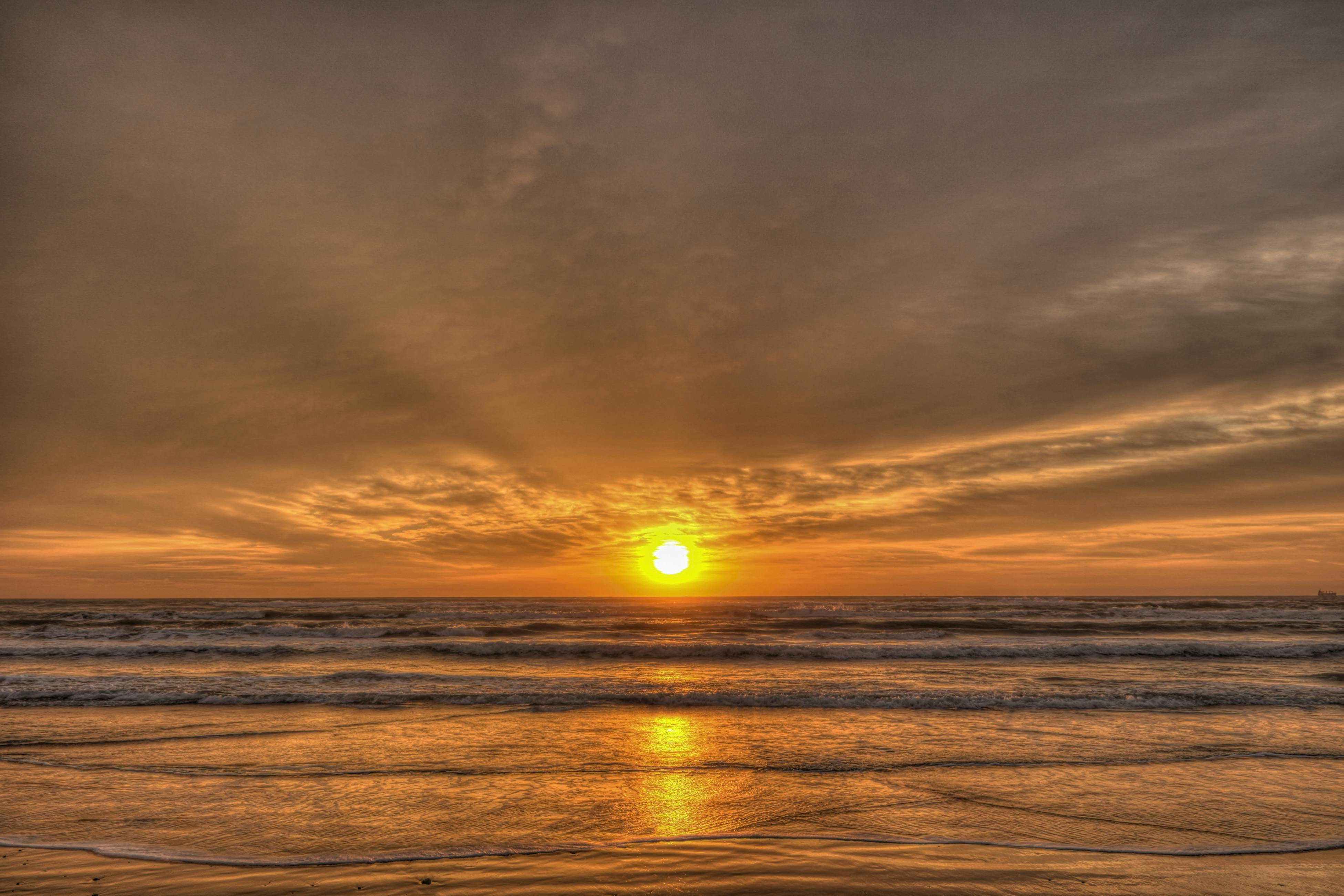 Long Island Village 831 Oyster