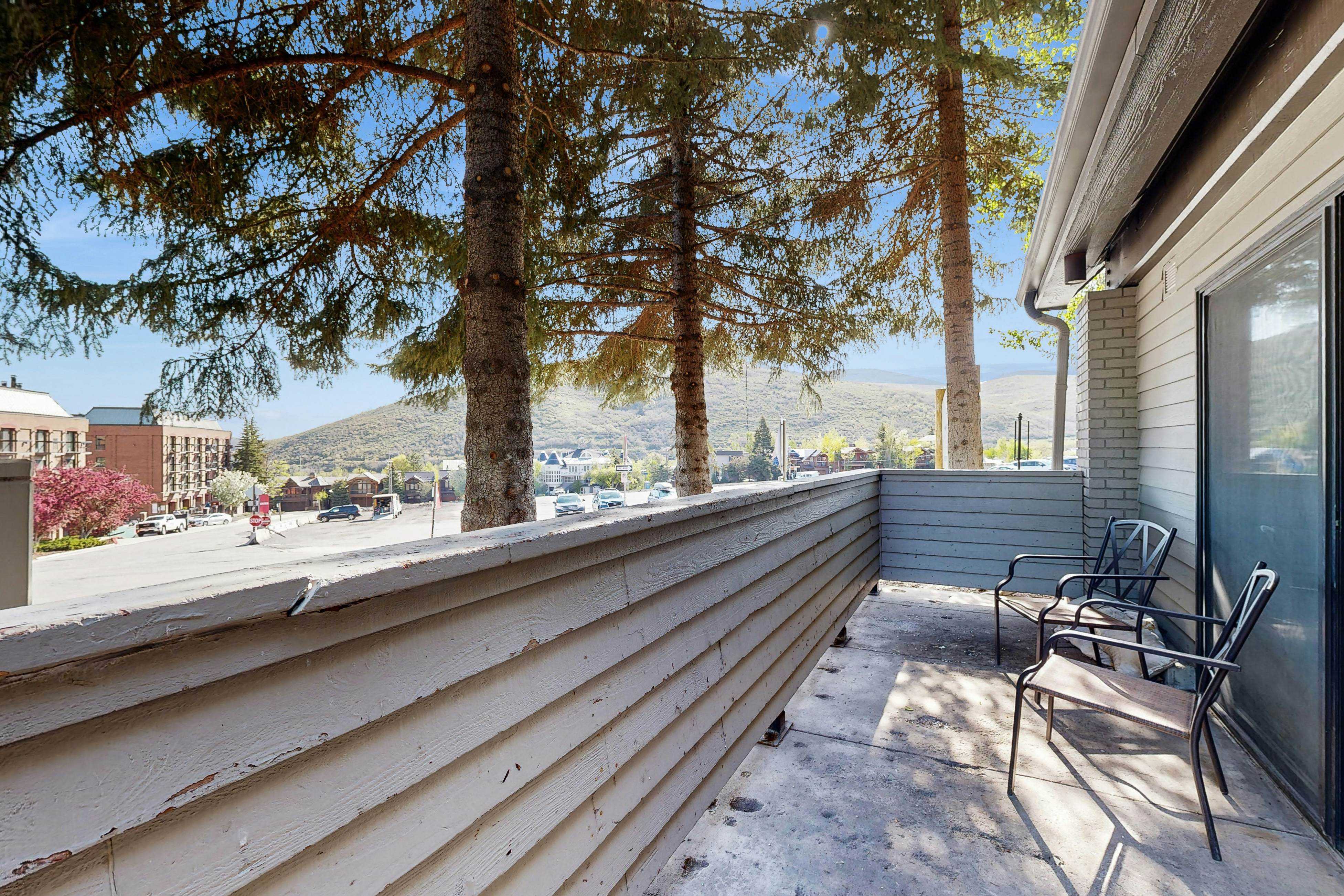 Modern Mountainside Magnificence