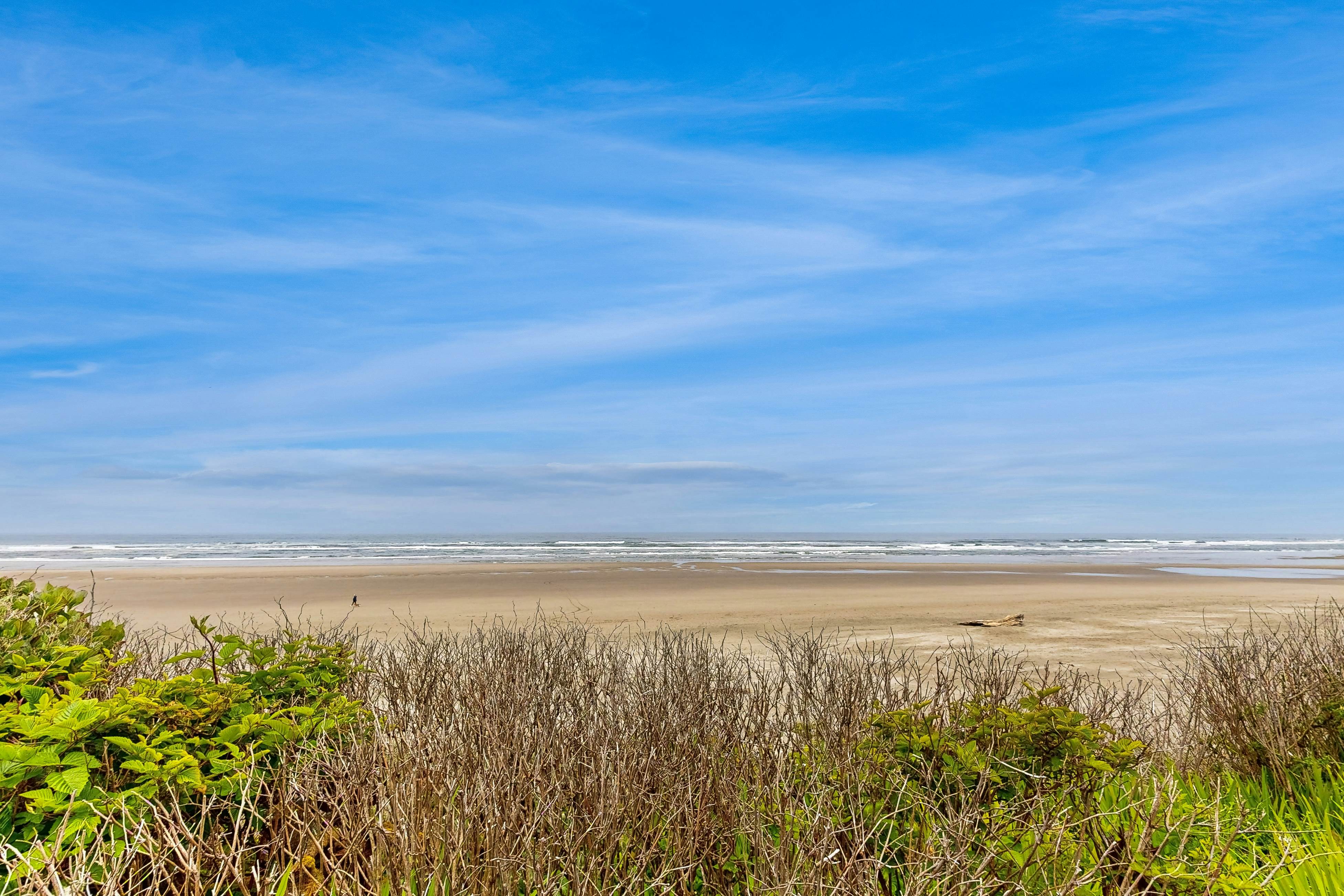 Big Stump Beach Escape