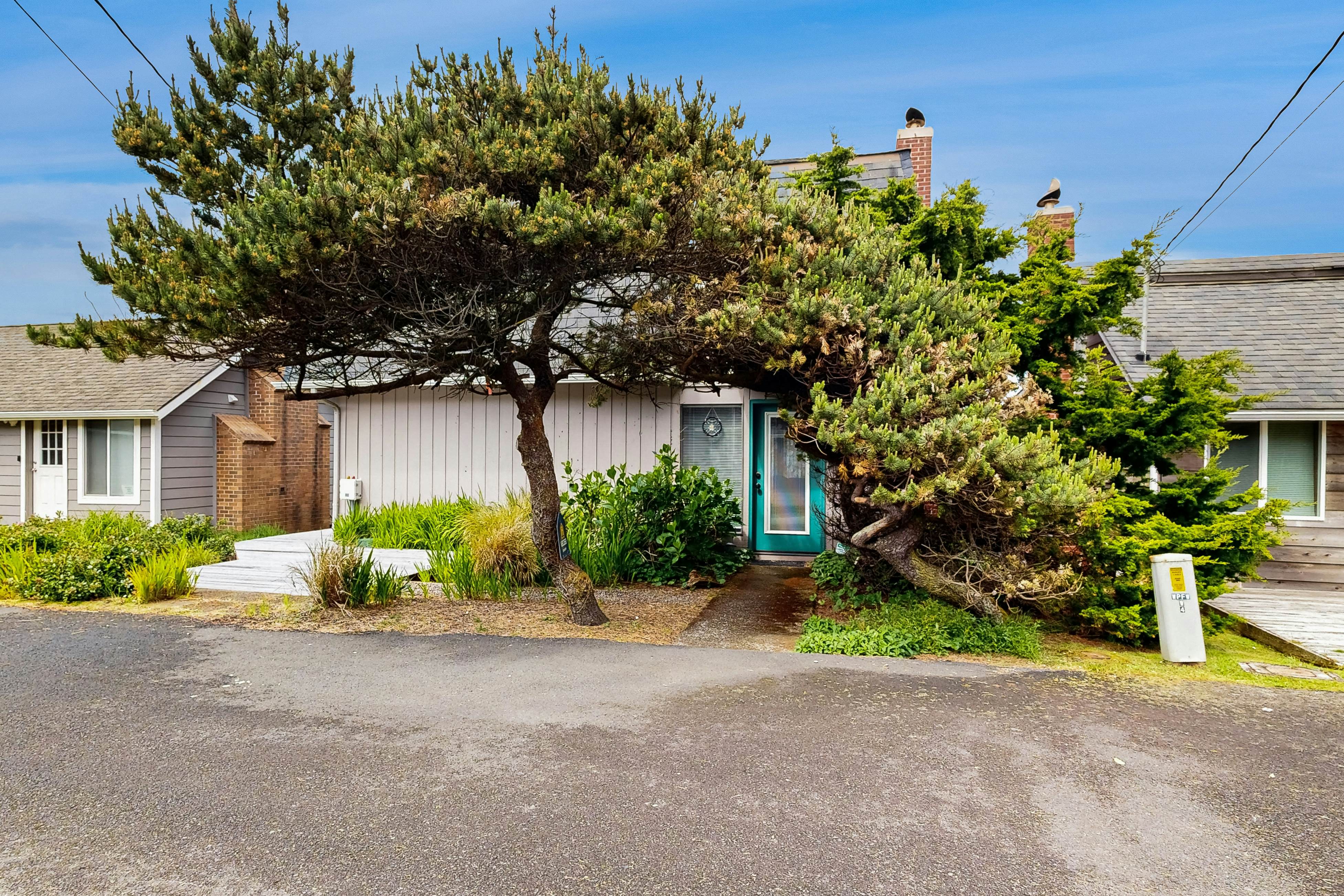 Big Stump Beach Escape