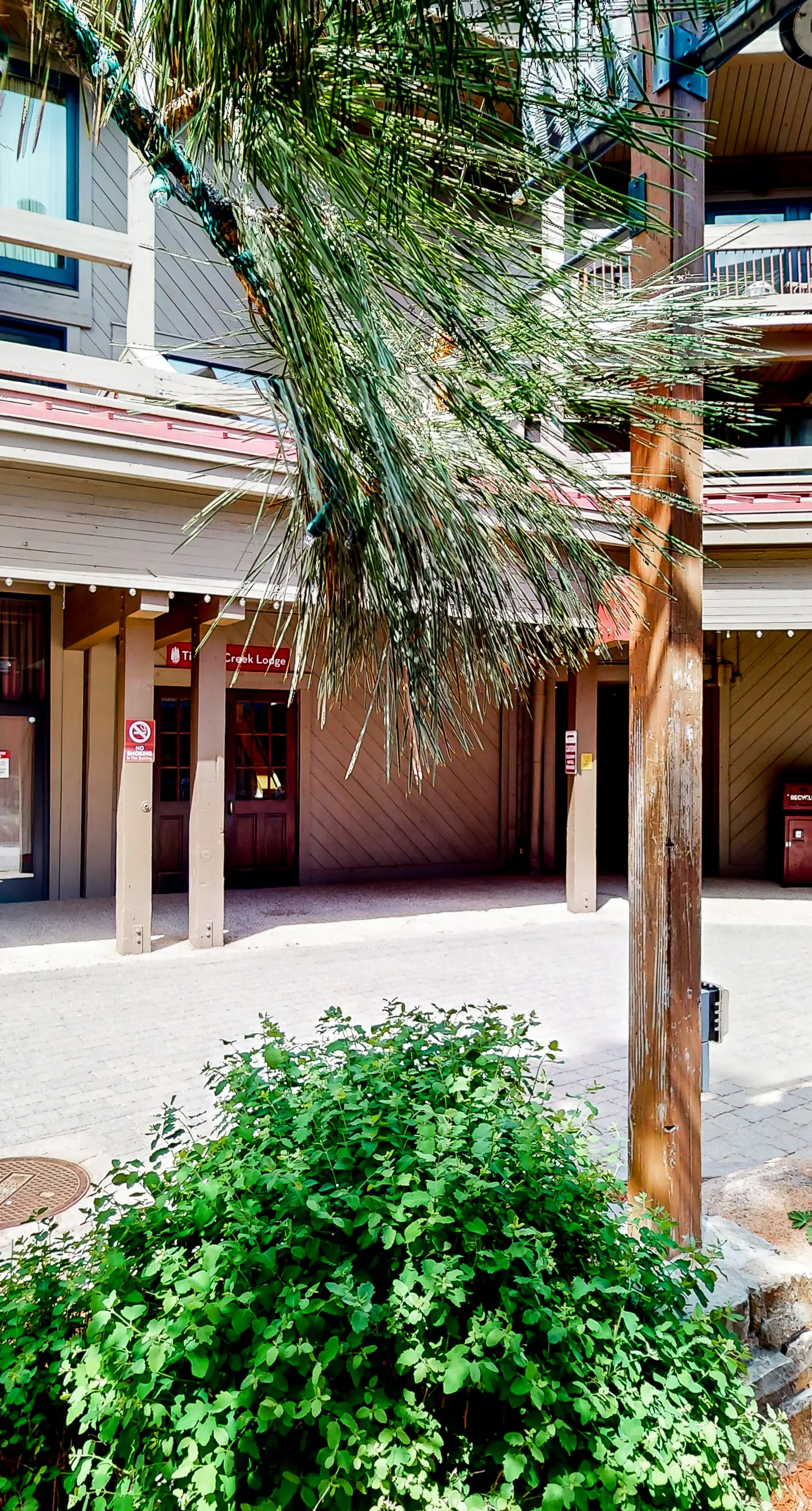 Northstar Resort 207