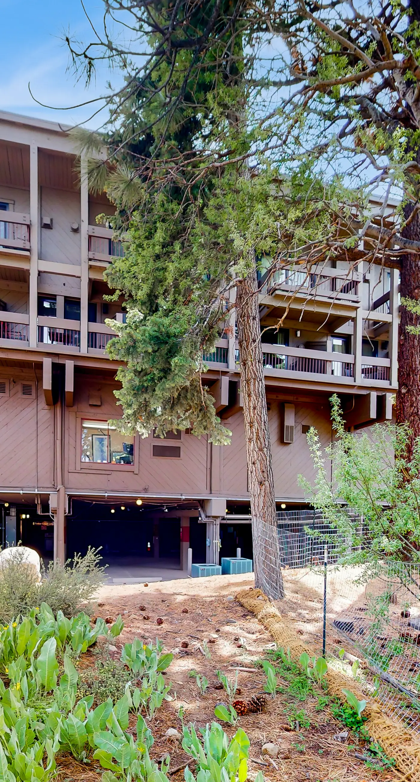 Northstar Resort 207