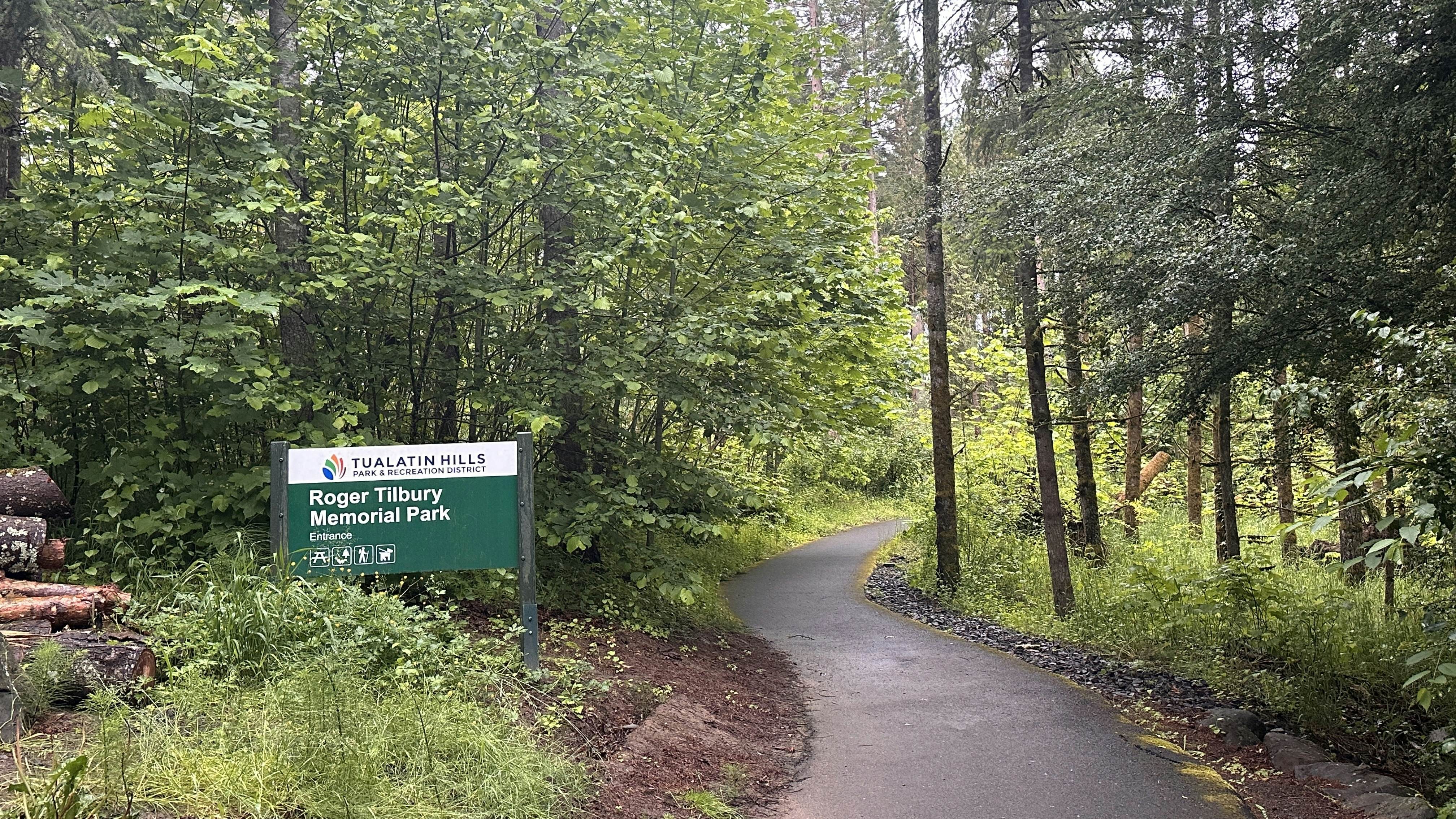 Haven Among Tranquil Pines