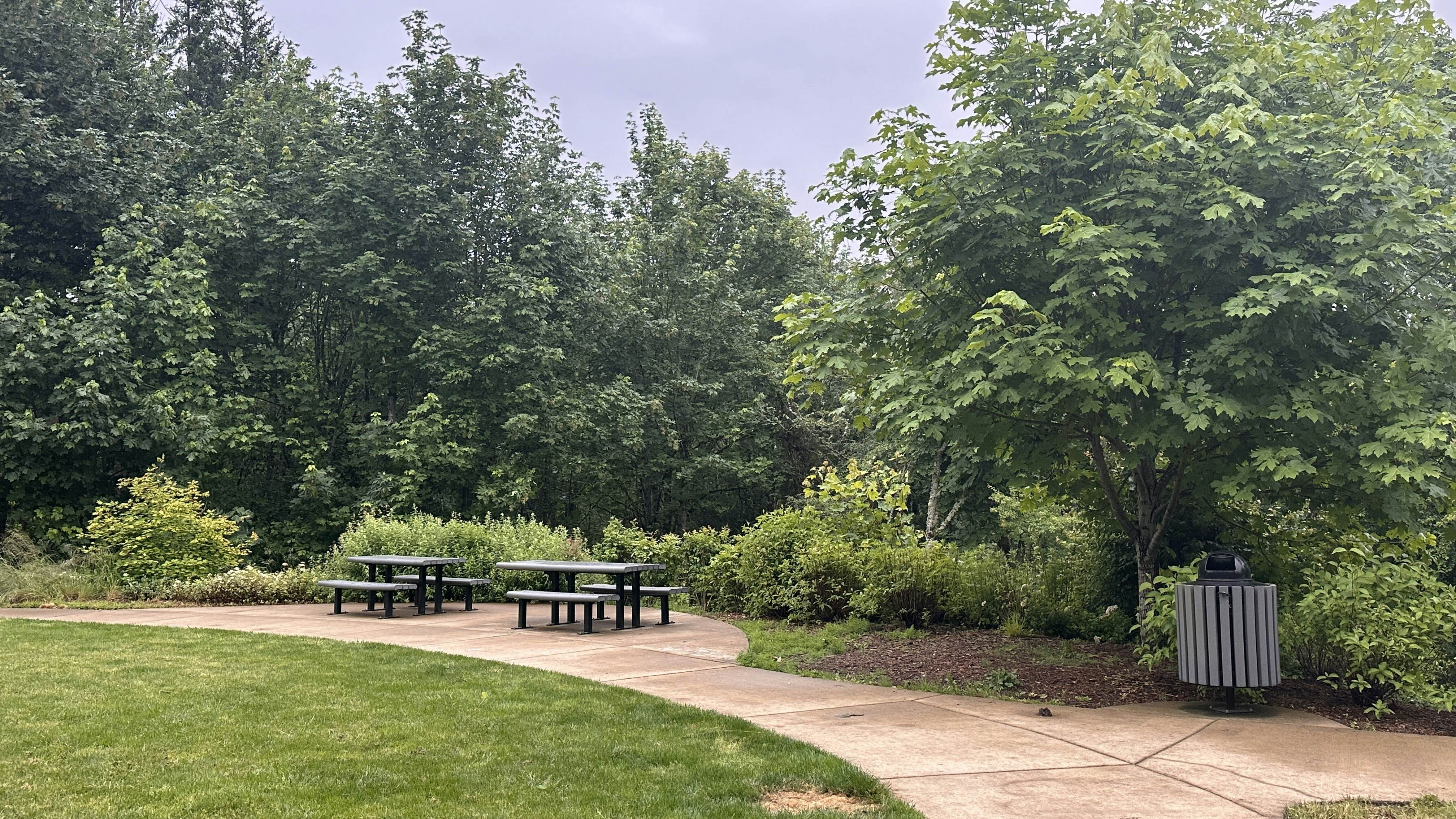 Haven Among Tranquil Pines