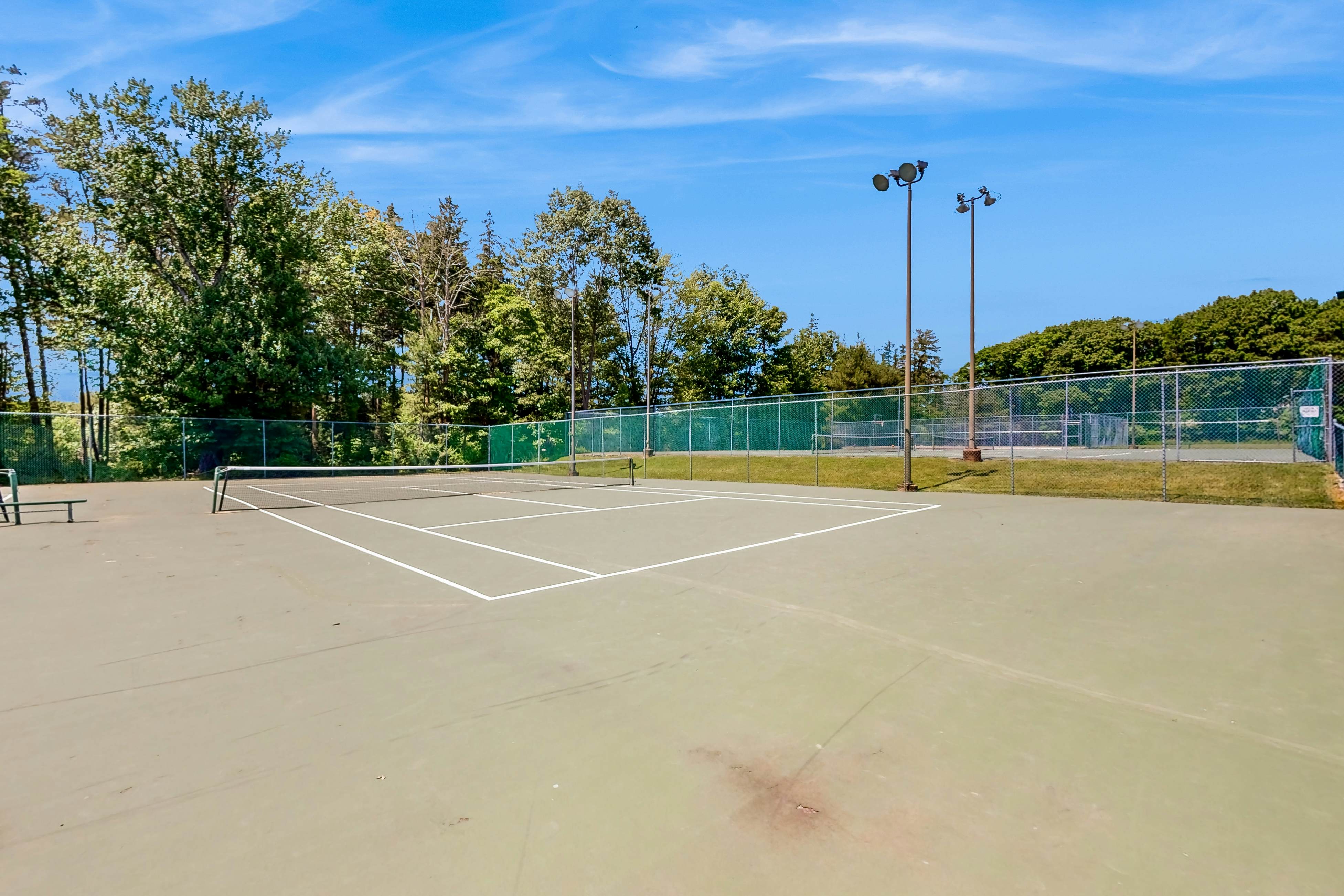 Blue Mountain Escape