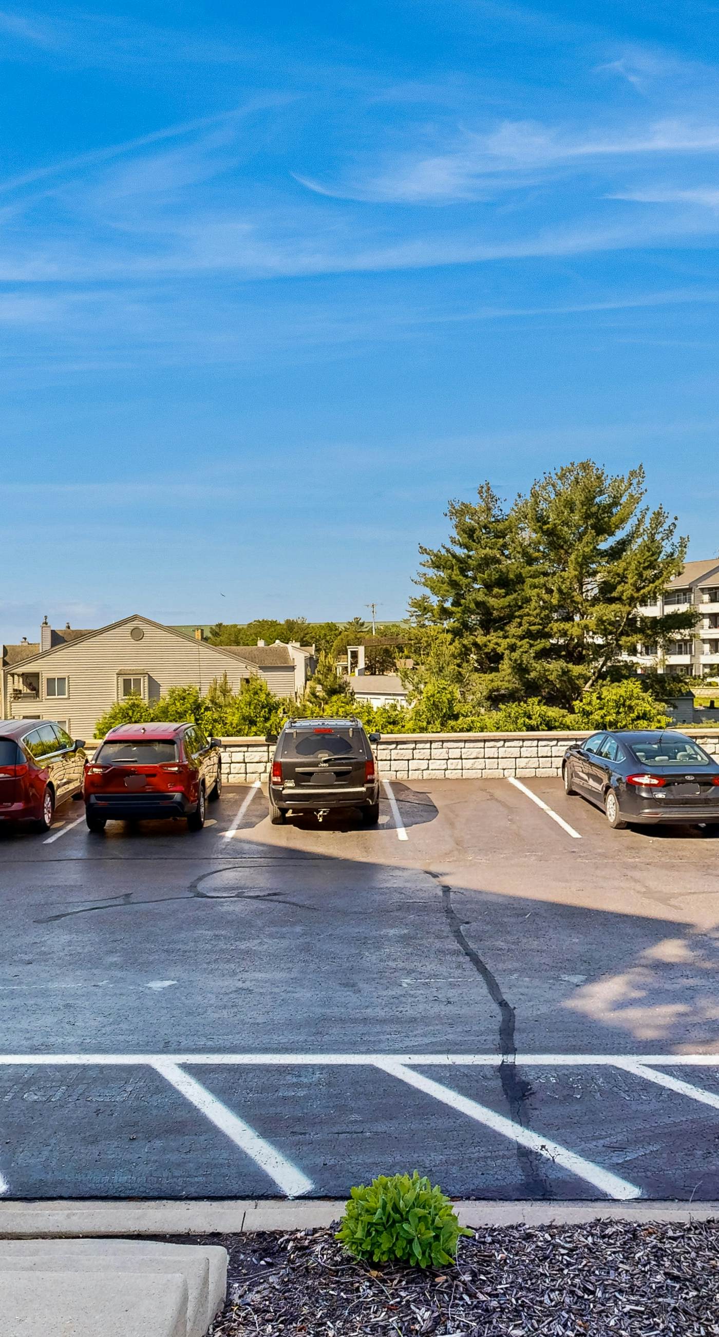 Delton Grand Resort #204