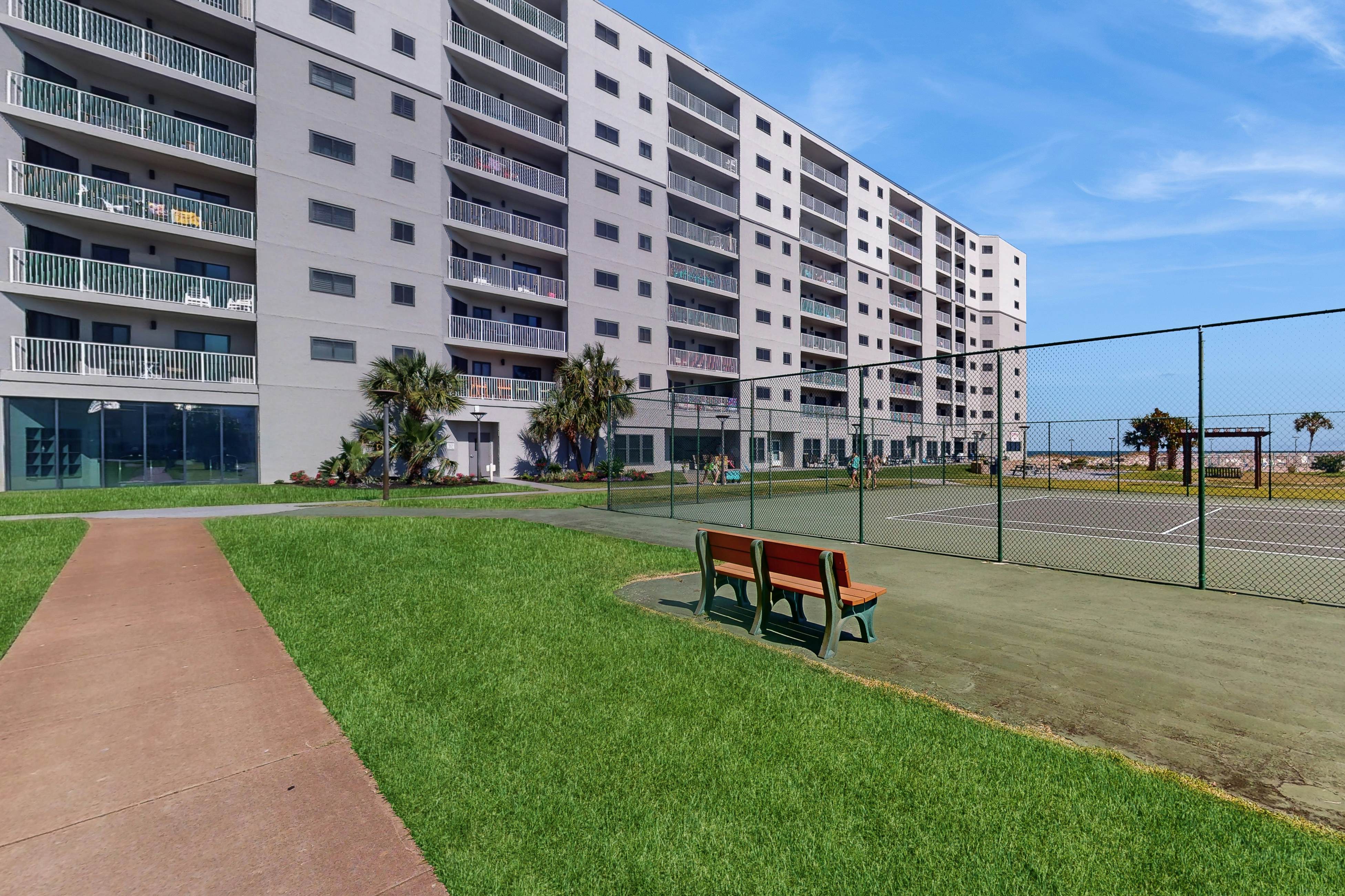 Plantation Palms #6208