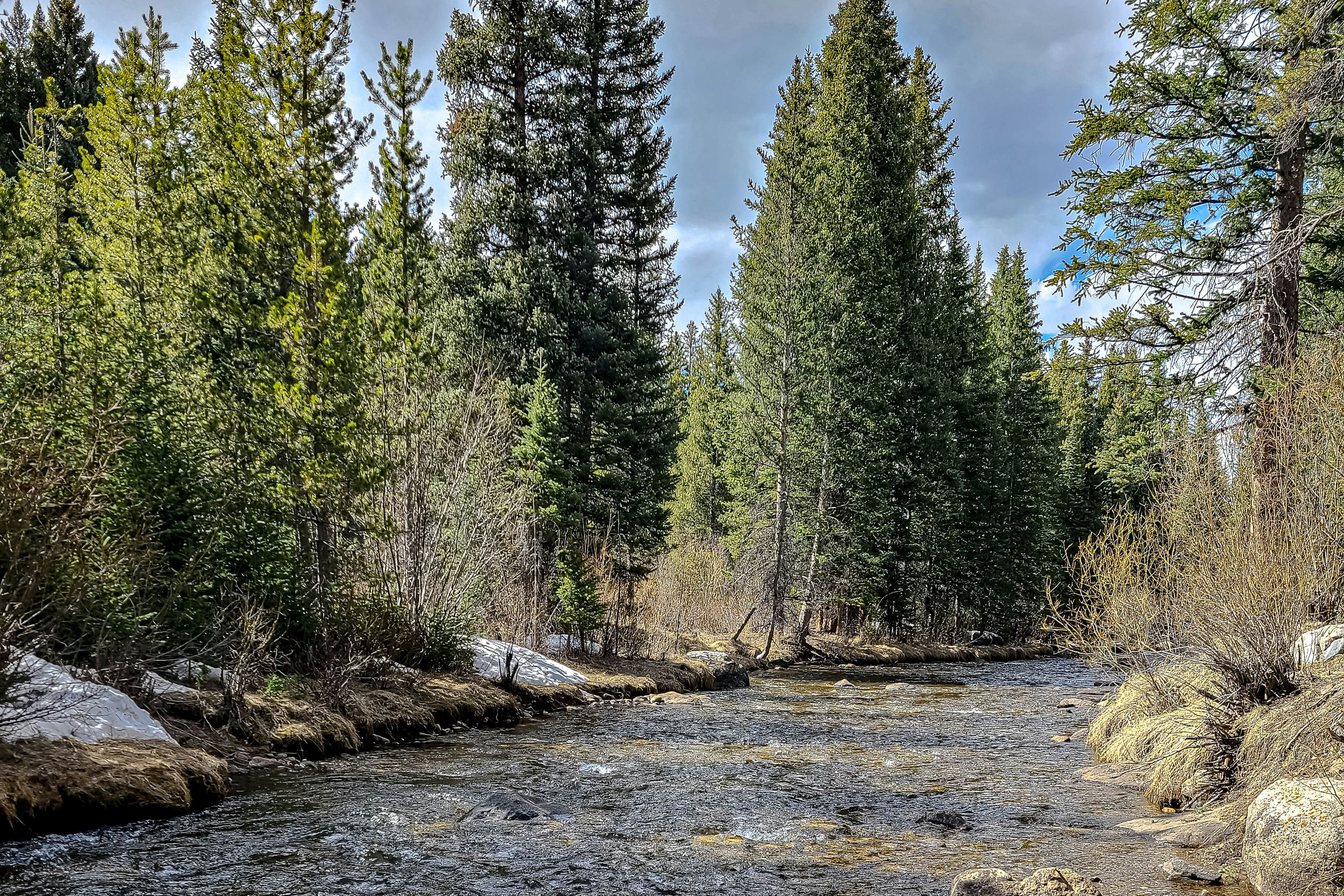Breckenridge Bliss Retreat