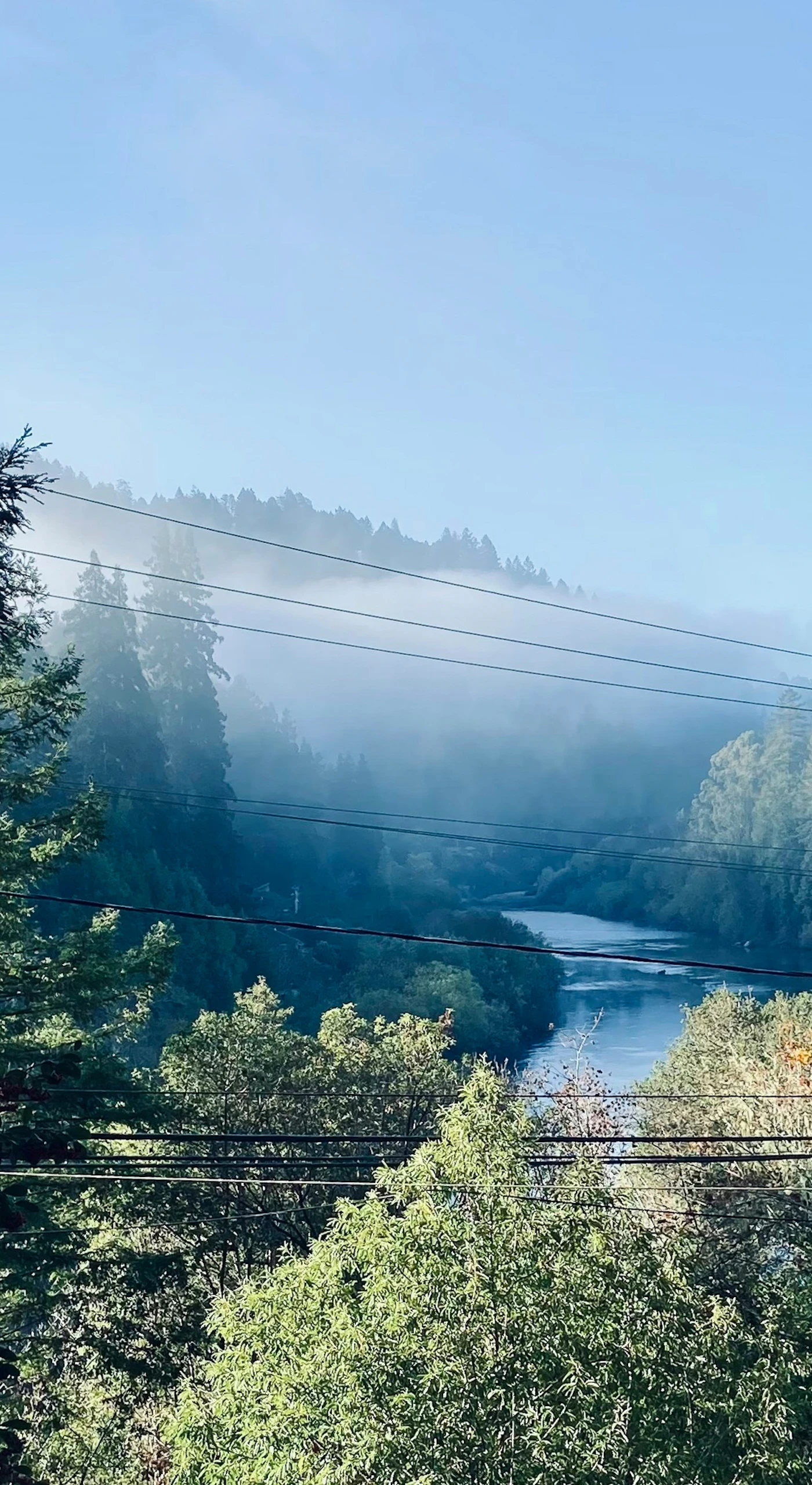 Wake up to morning mist drifting over the Russian River — your private redwood-framed vista stretches across the canyon from this Monte Rio hideaway.