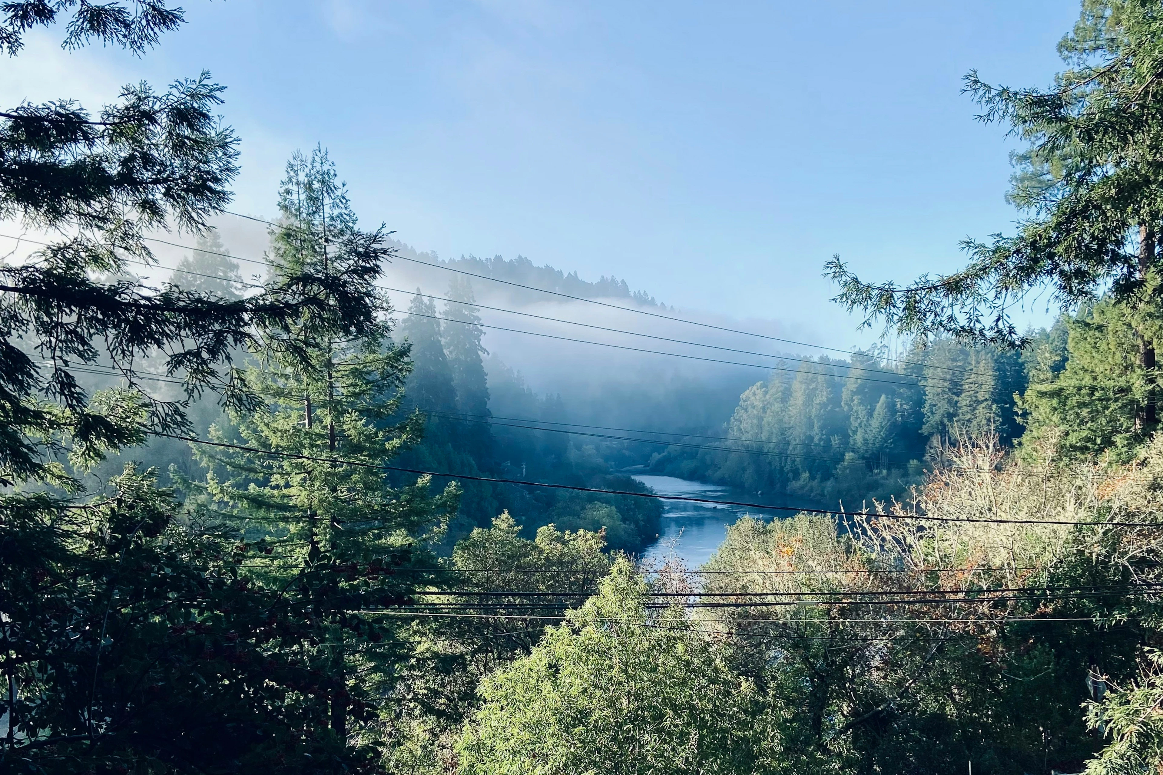 Wake up to morning mist drifting over the Russian River — your private redwood-framed vista stretches across the canyon from this Monte Rio hideaway.