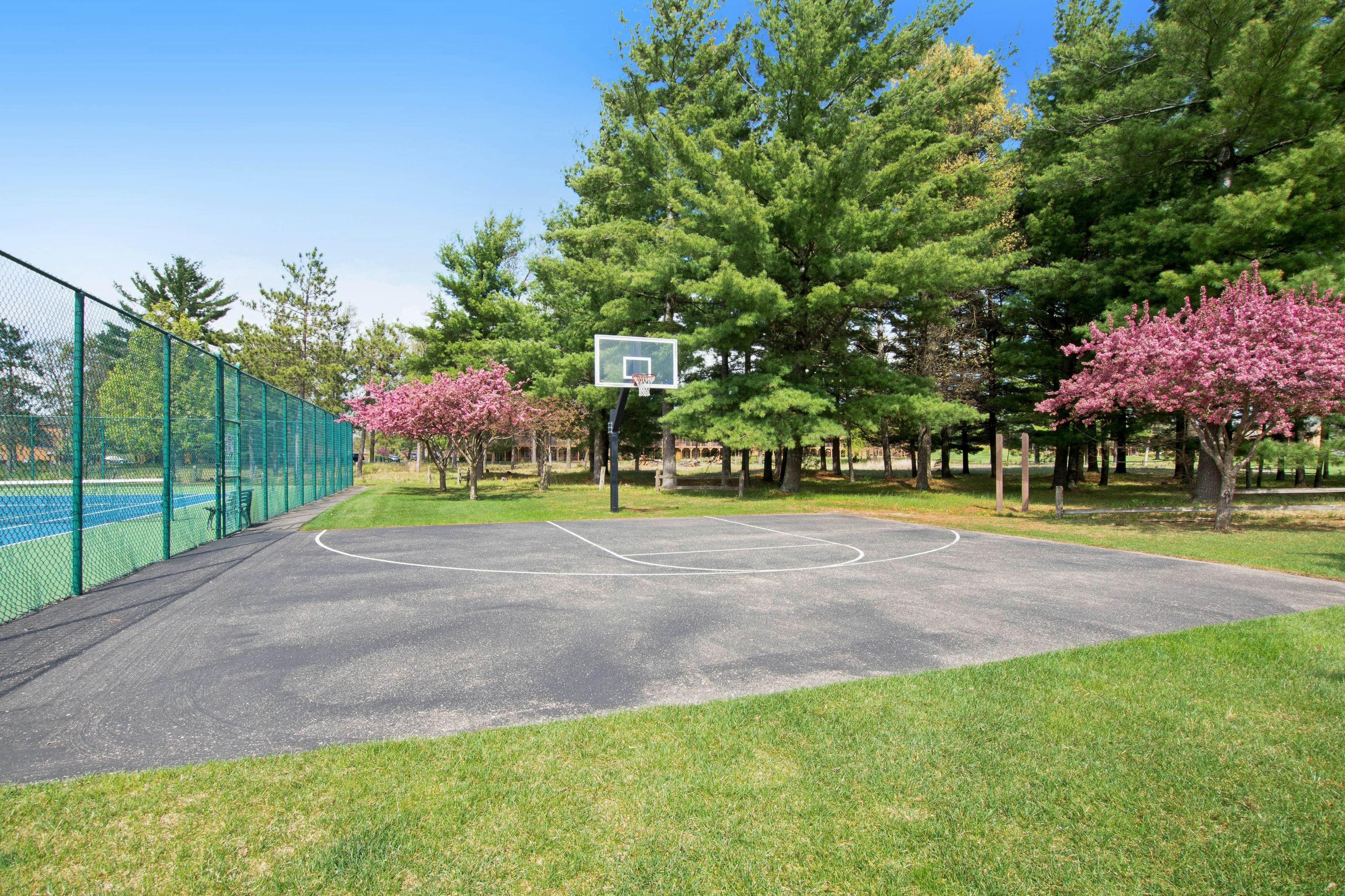 Sunset Condominiums - The View