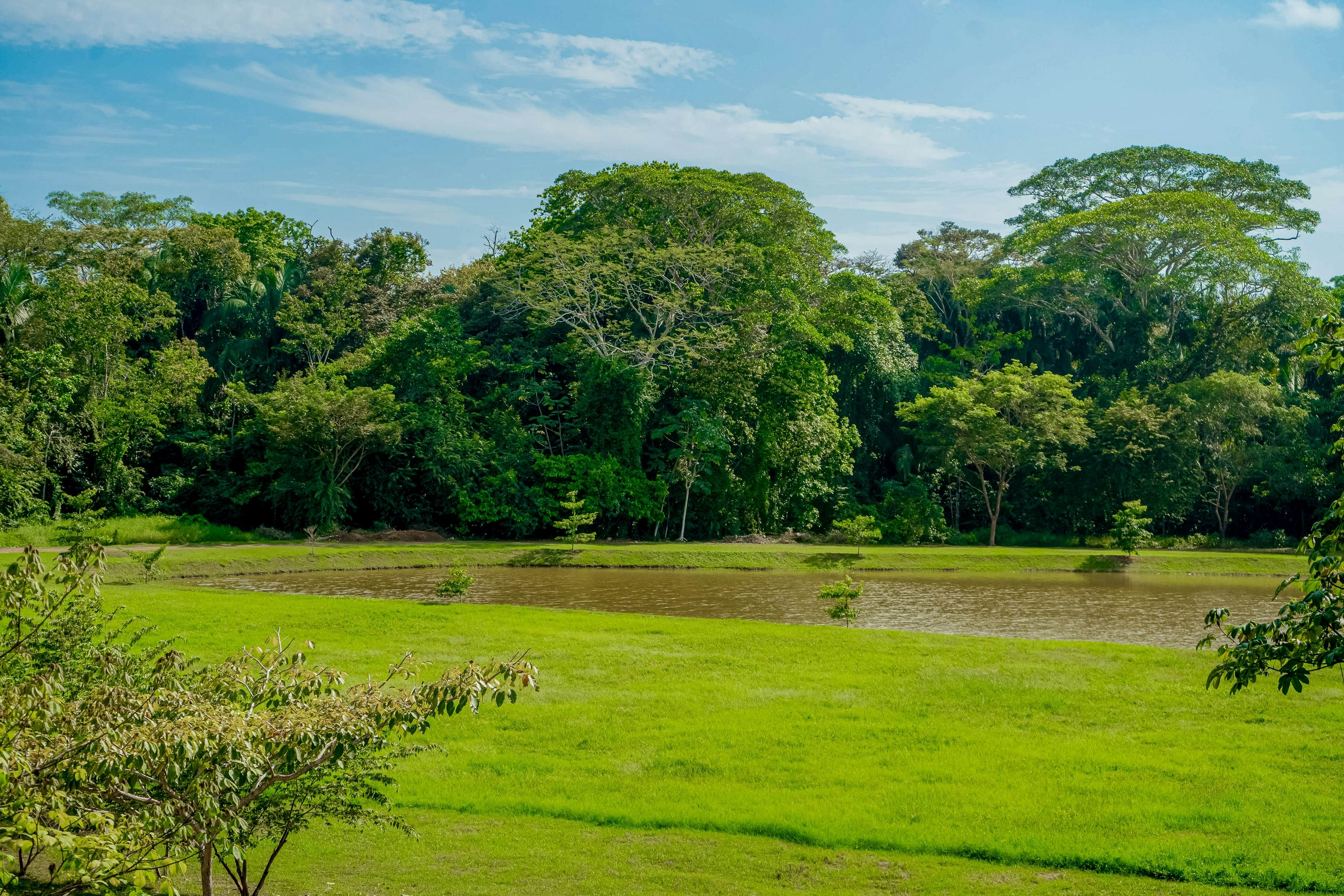 Nautilus B23 - Místico