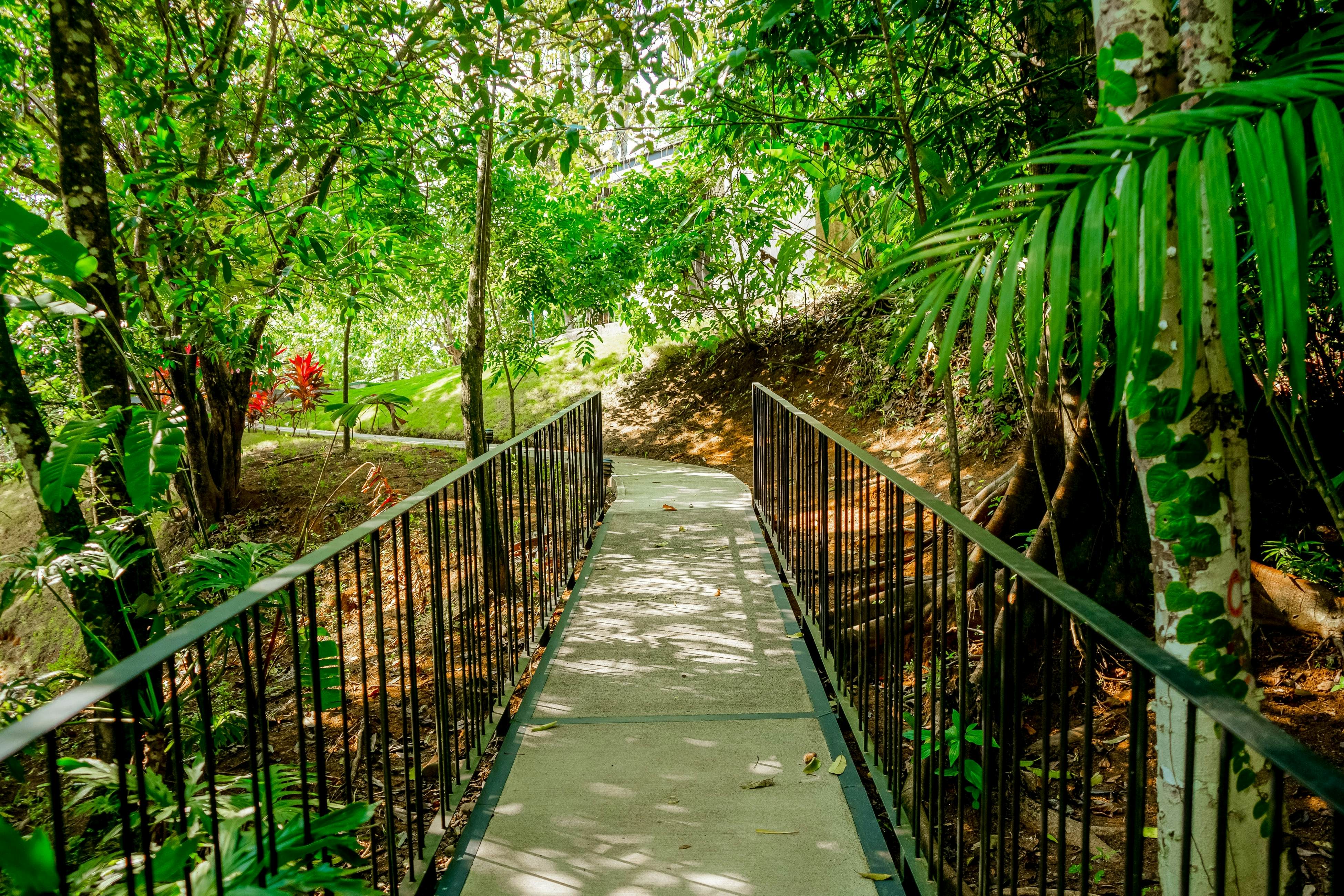 Nautilus B23 - Místico