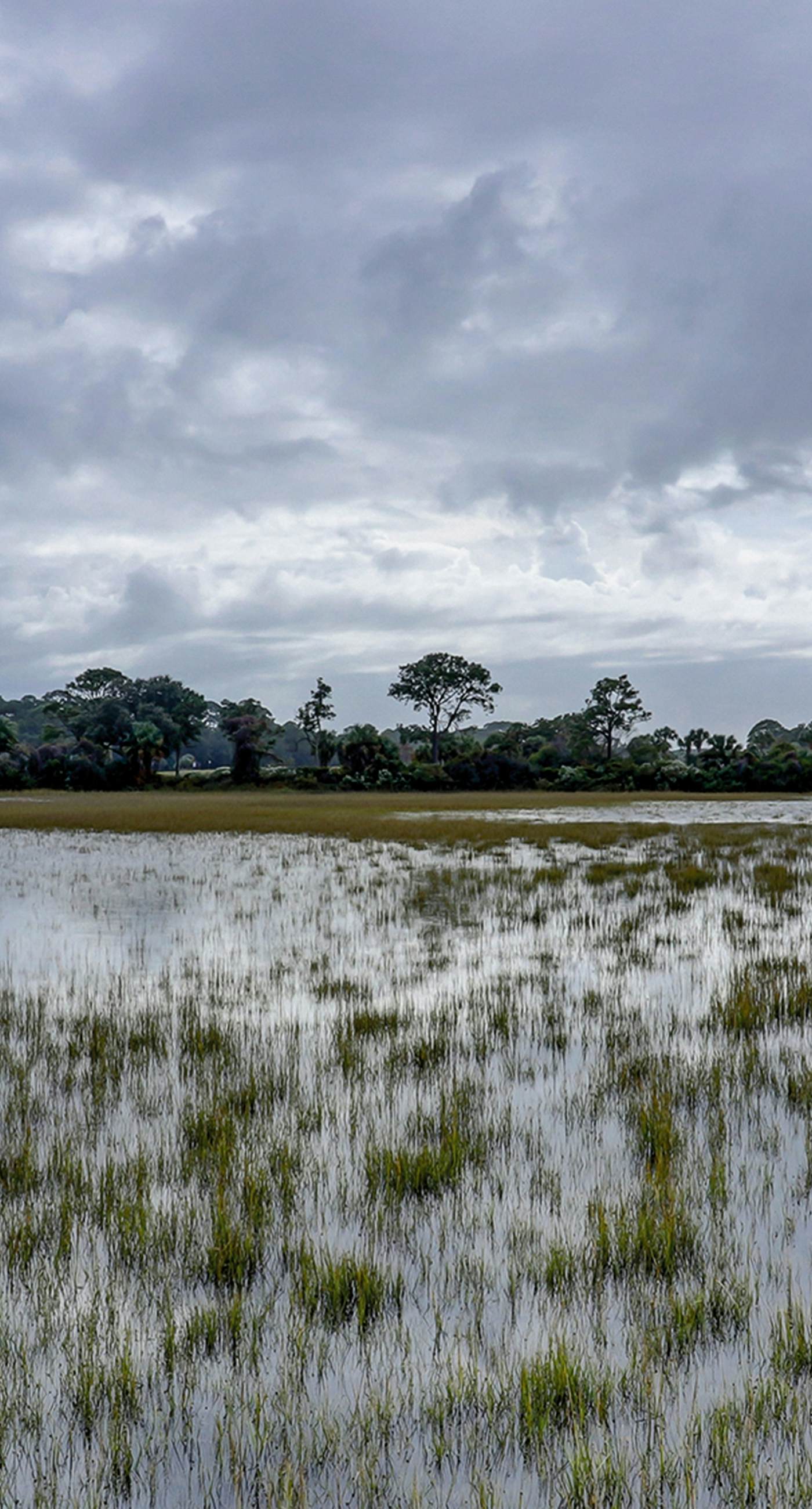 Hilton Head Resort 3308
